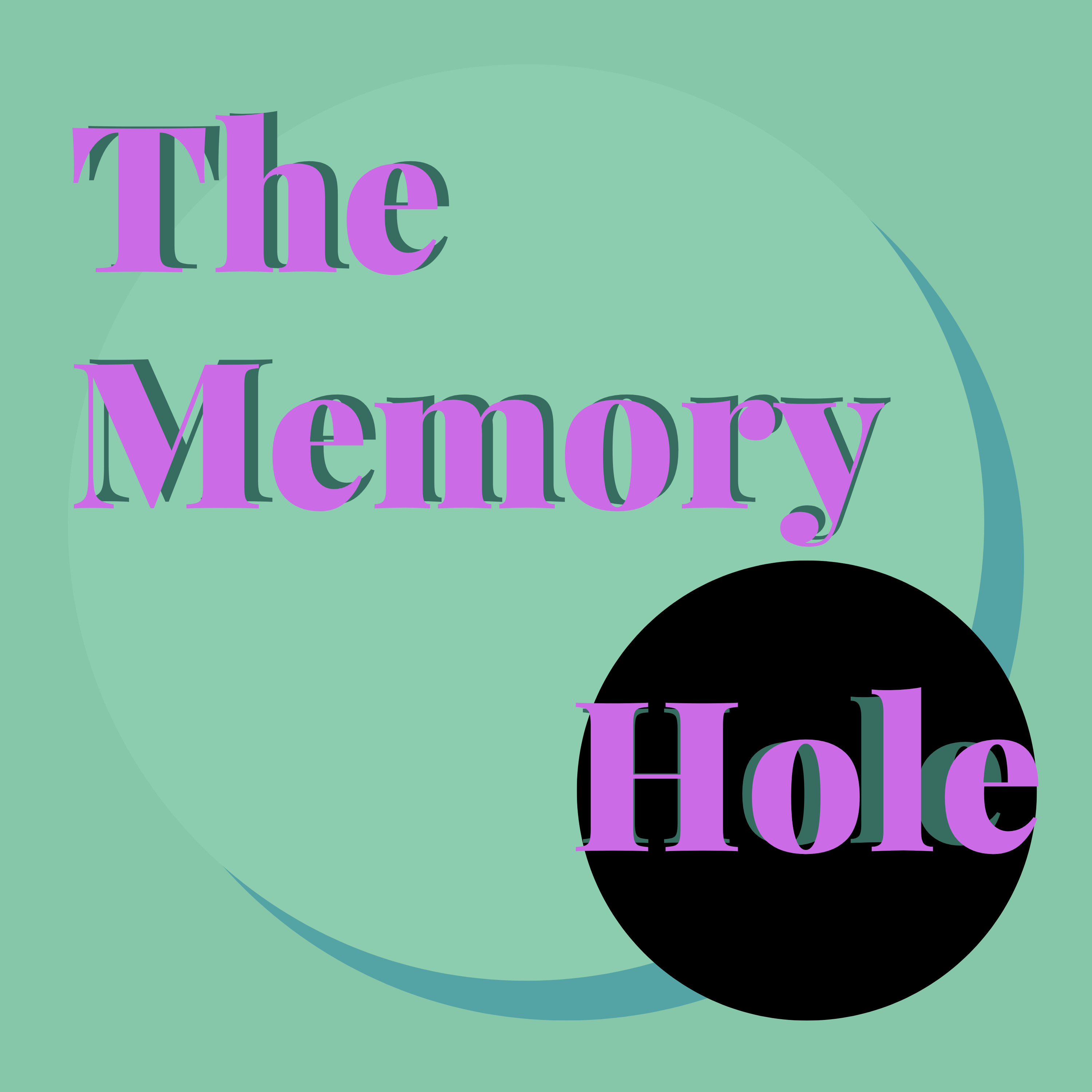 The Memory Hole Podcast