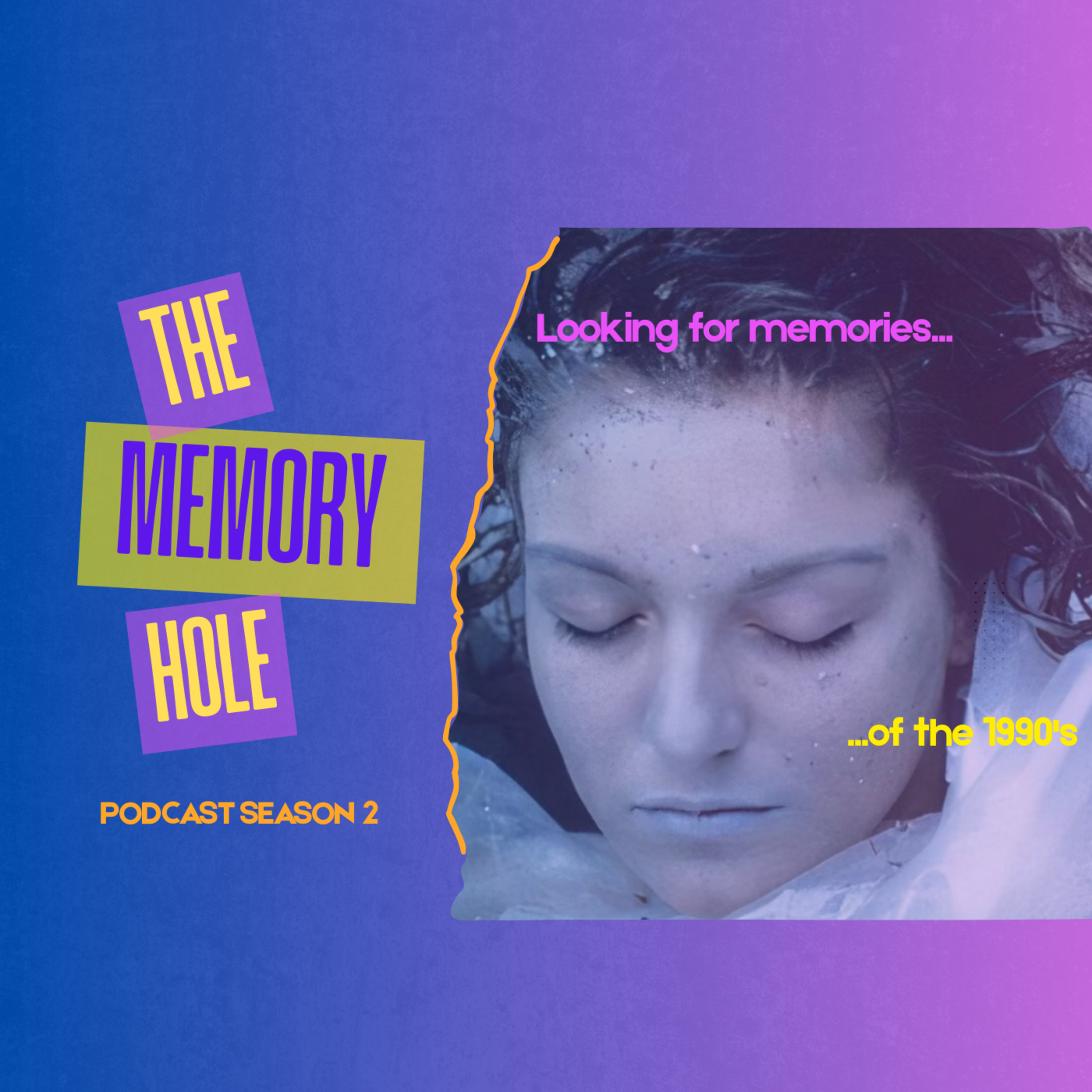 The Memory Hole Podcast