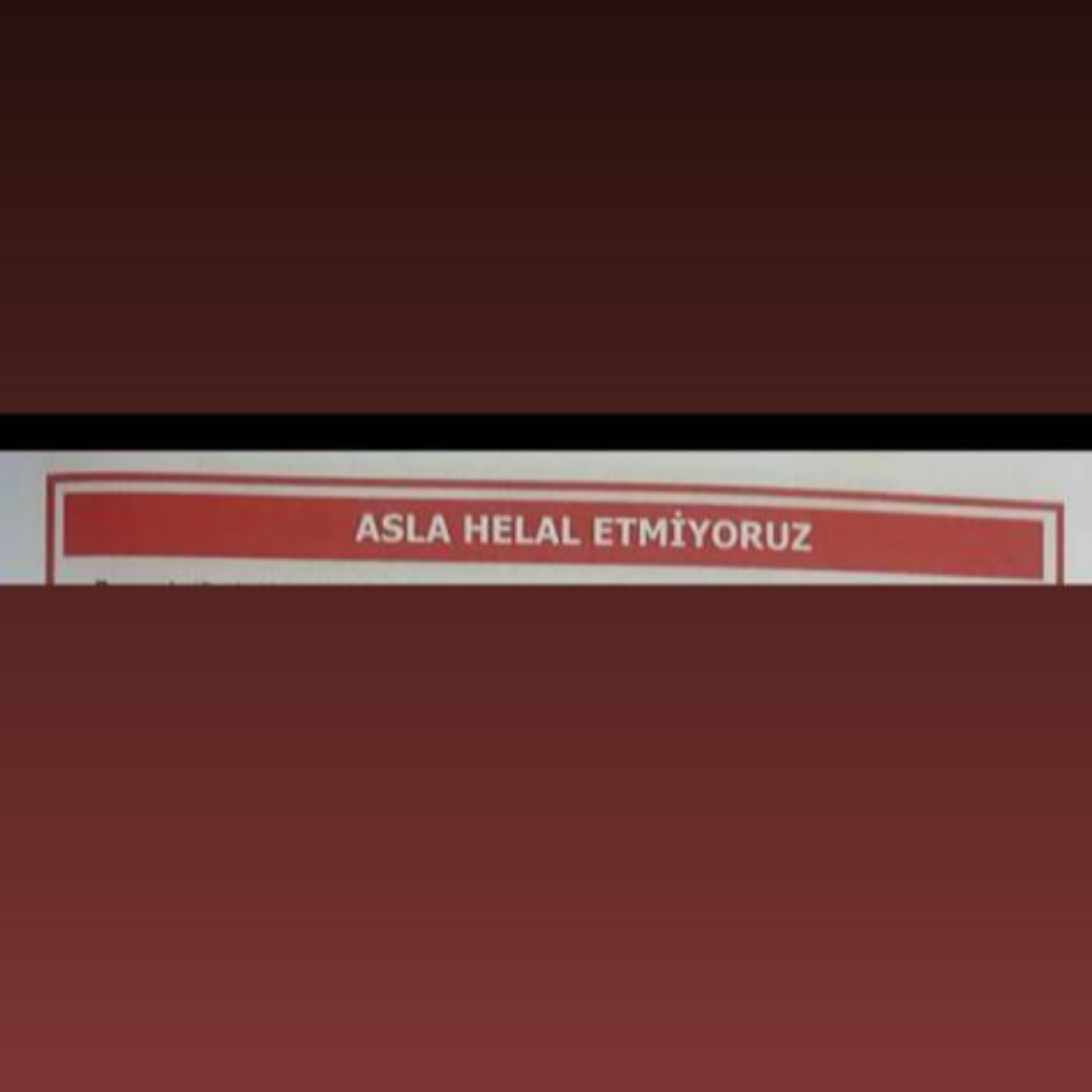 bi şey dicem