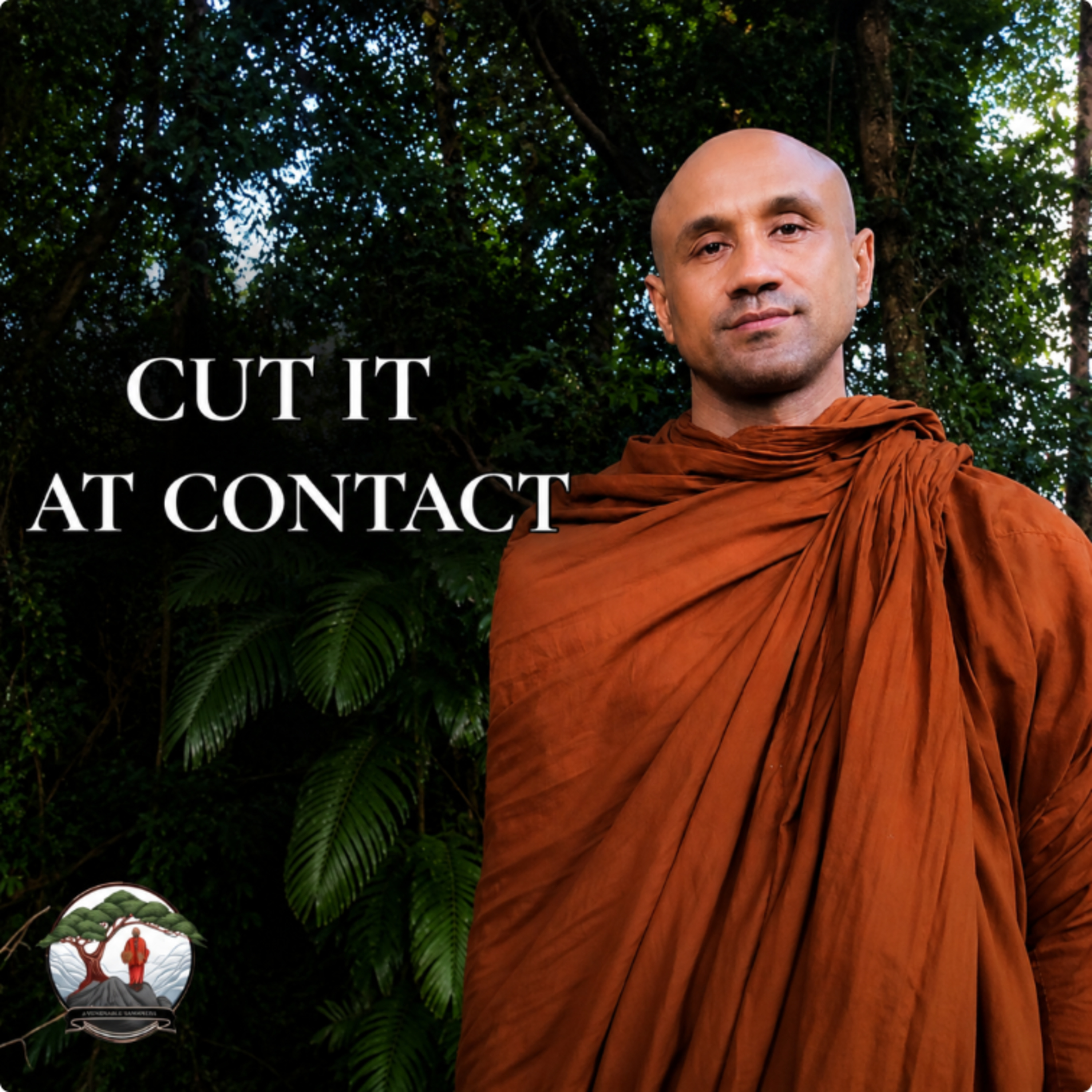 The Link in Dependent Origination We Keep Ignoring | Bhante Joe episode artwork