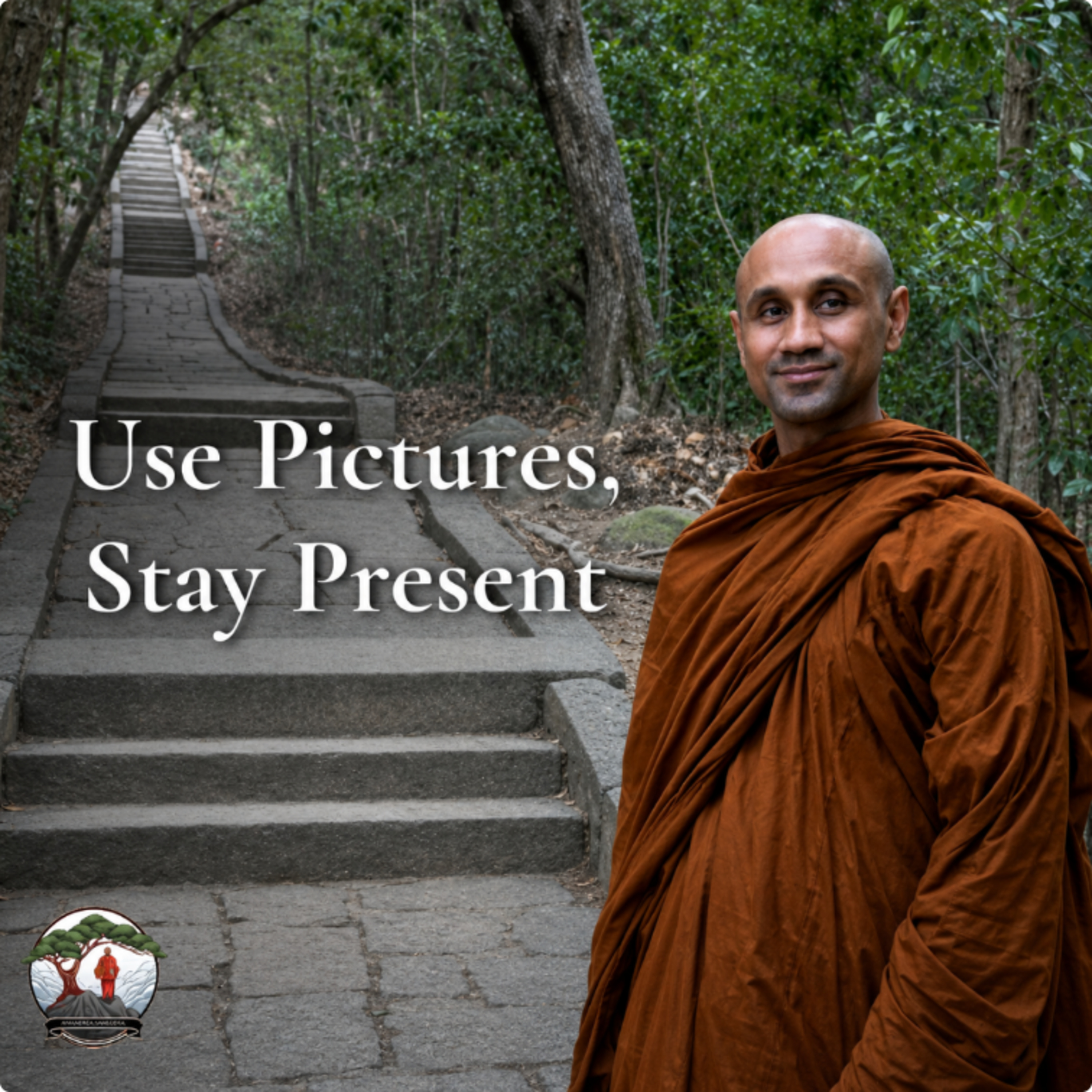When Mental Images Help, and Hinder Meditation | Bhante Joe episode artwork