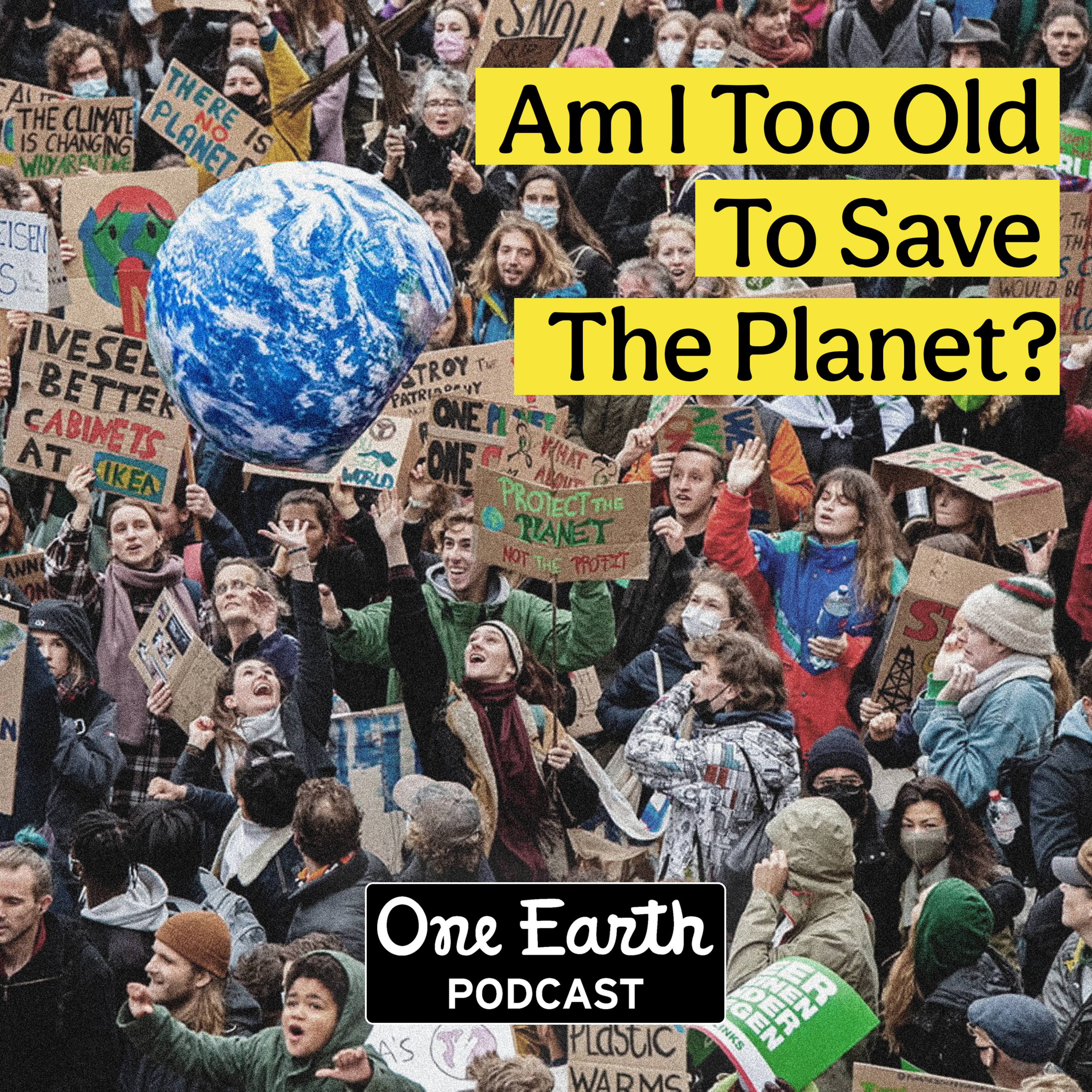 Am I Too Old To Save The Planet? 