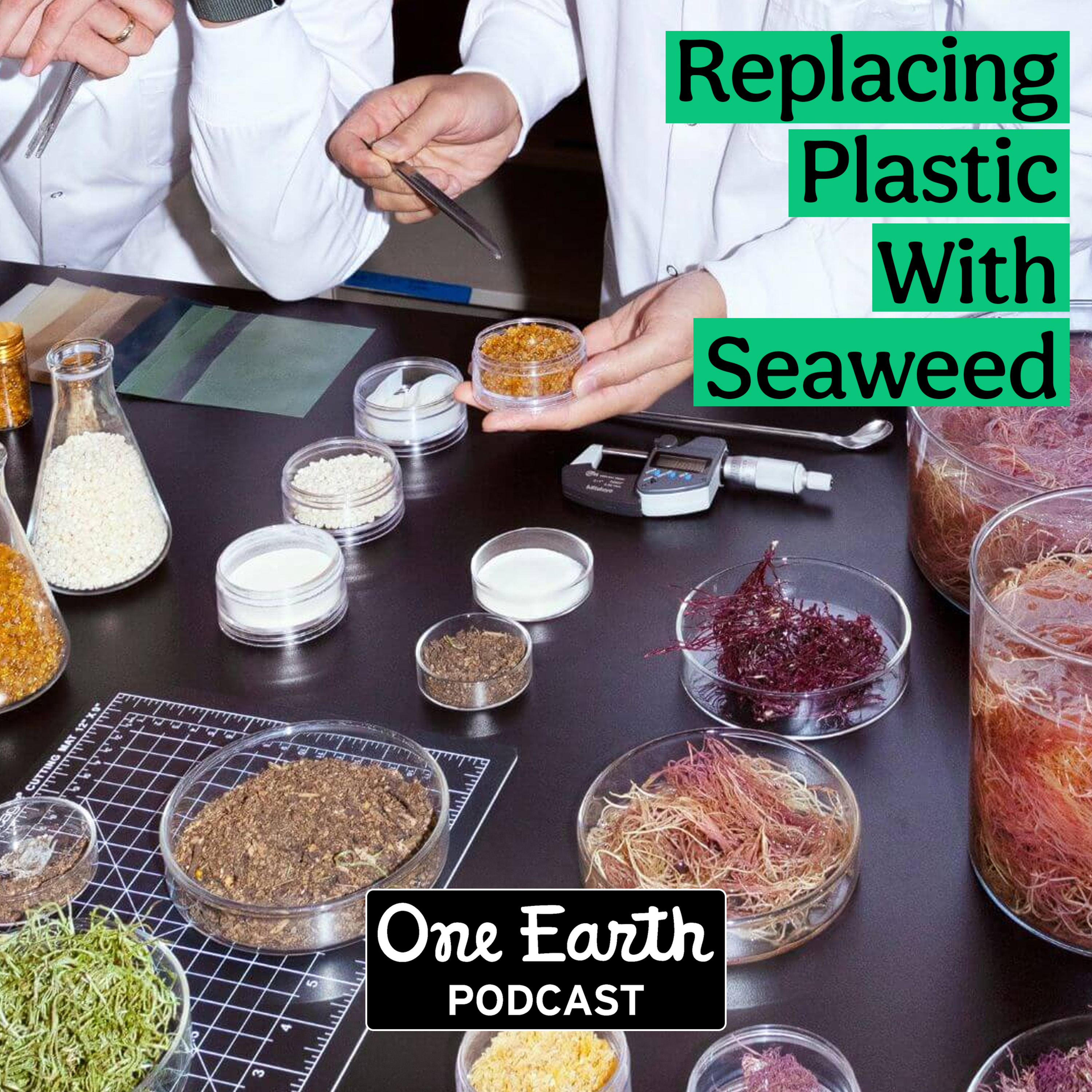 Replacing Plastic With Seaweed episode artwork