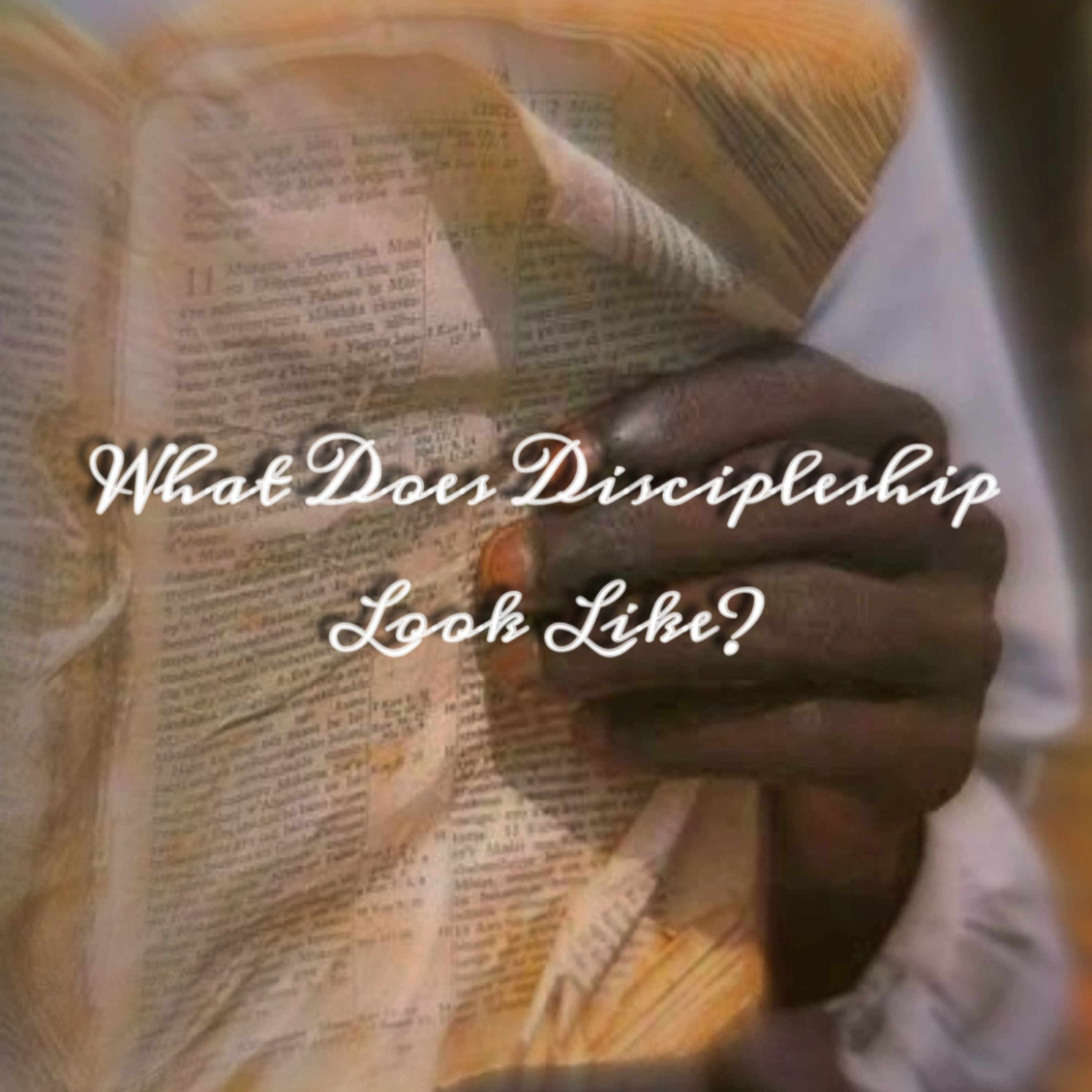 Episode #14: What Does Discipleship Look Like? W/ Pastor Desi episode artwork