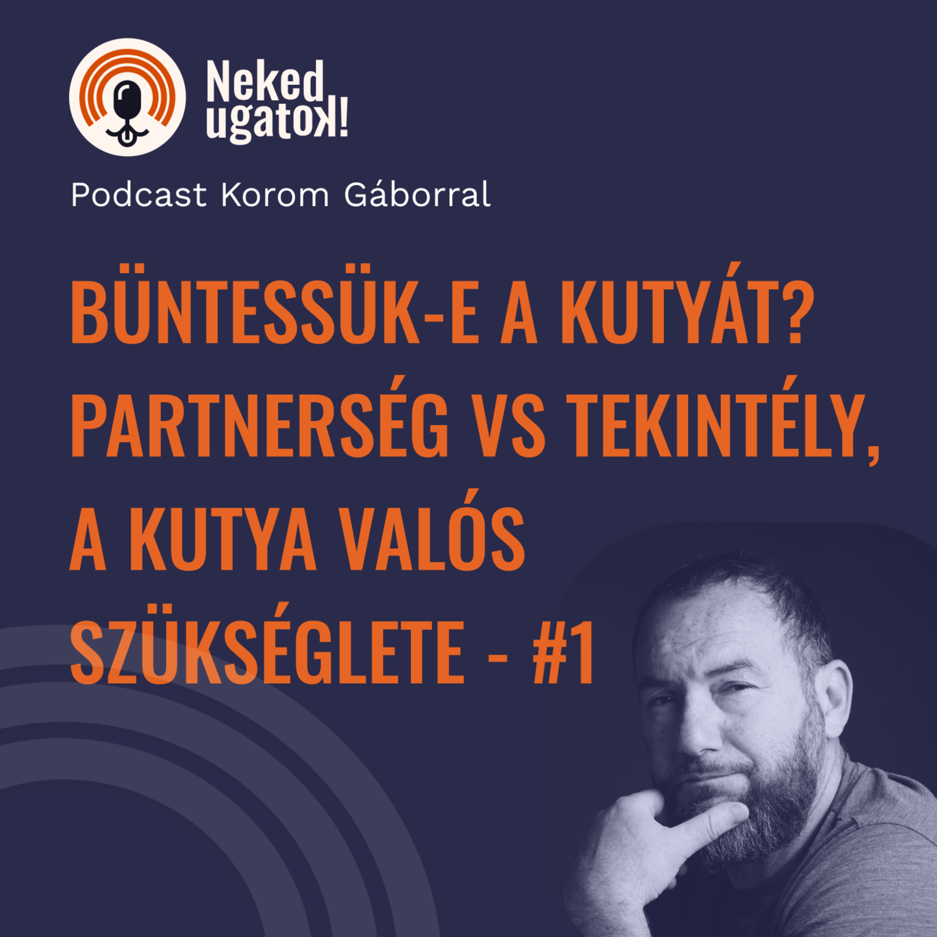 Megbüntessem-e a kutyát? | Partnerség vs tekintély | A kutya valós szükséglete - Neked Ugatok! #1 episode artwork