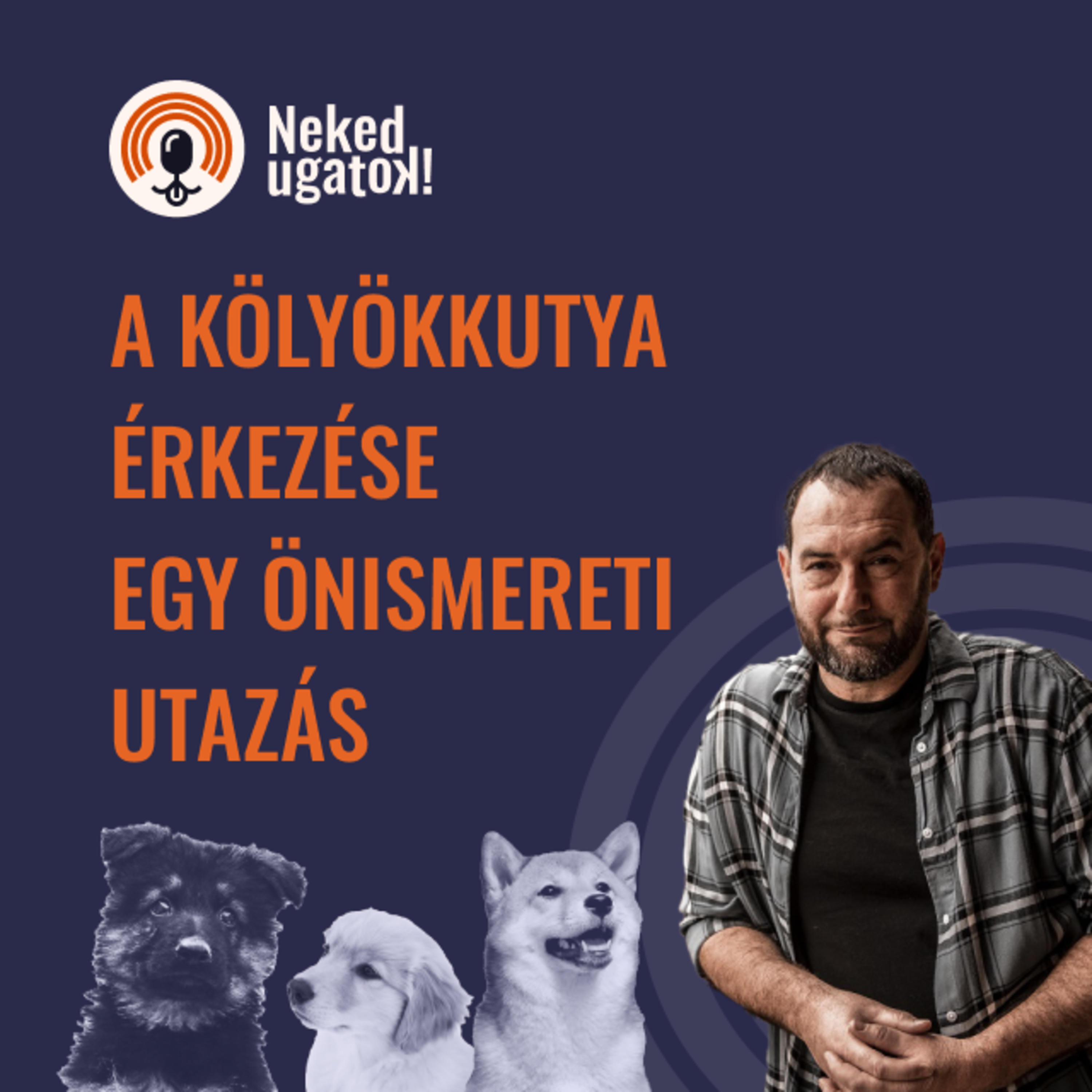 A kölyökkutya önismeretre tanít | A pszichológus és az ausztrál juhászkutya találkozása - Neked Ugatok! #3 episode artwork