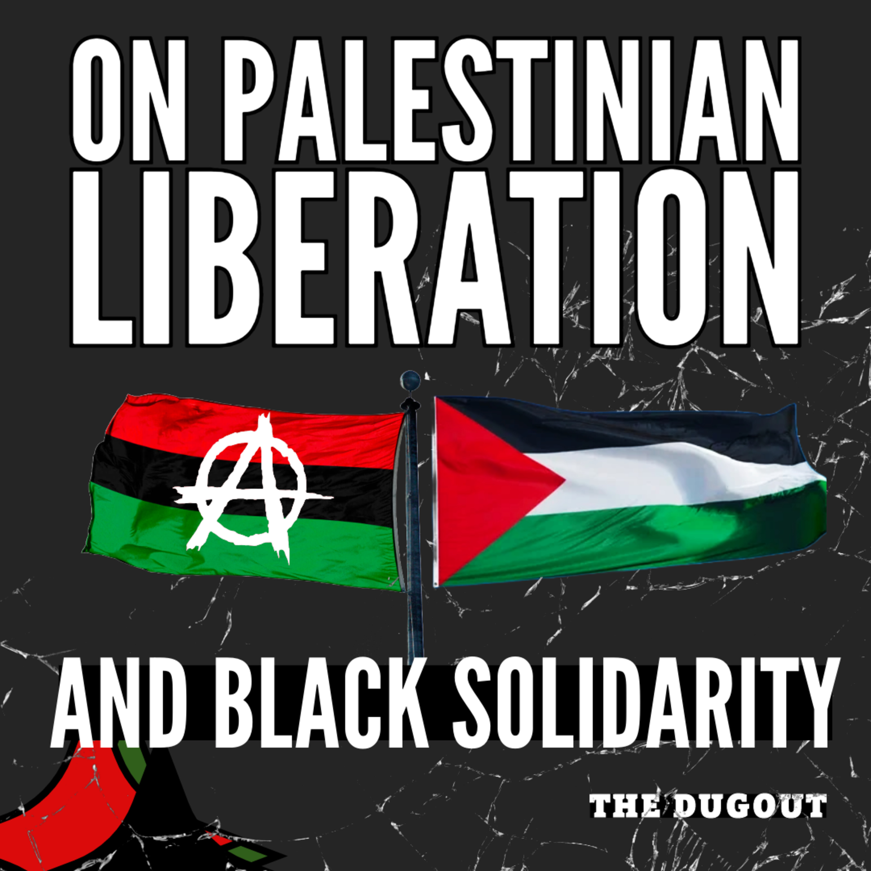 Palestinian Liberation and Black Solidarity: A History of Anti-Colonial Resistance