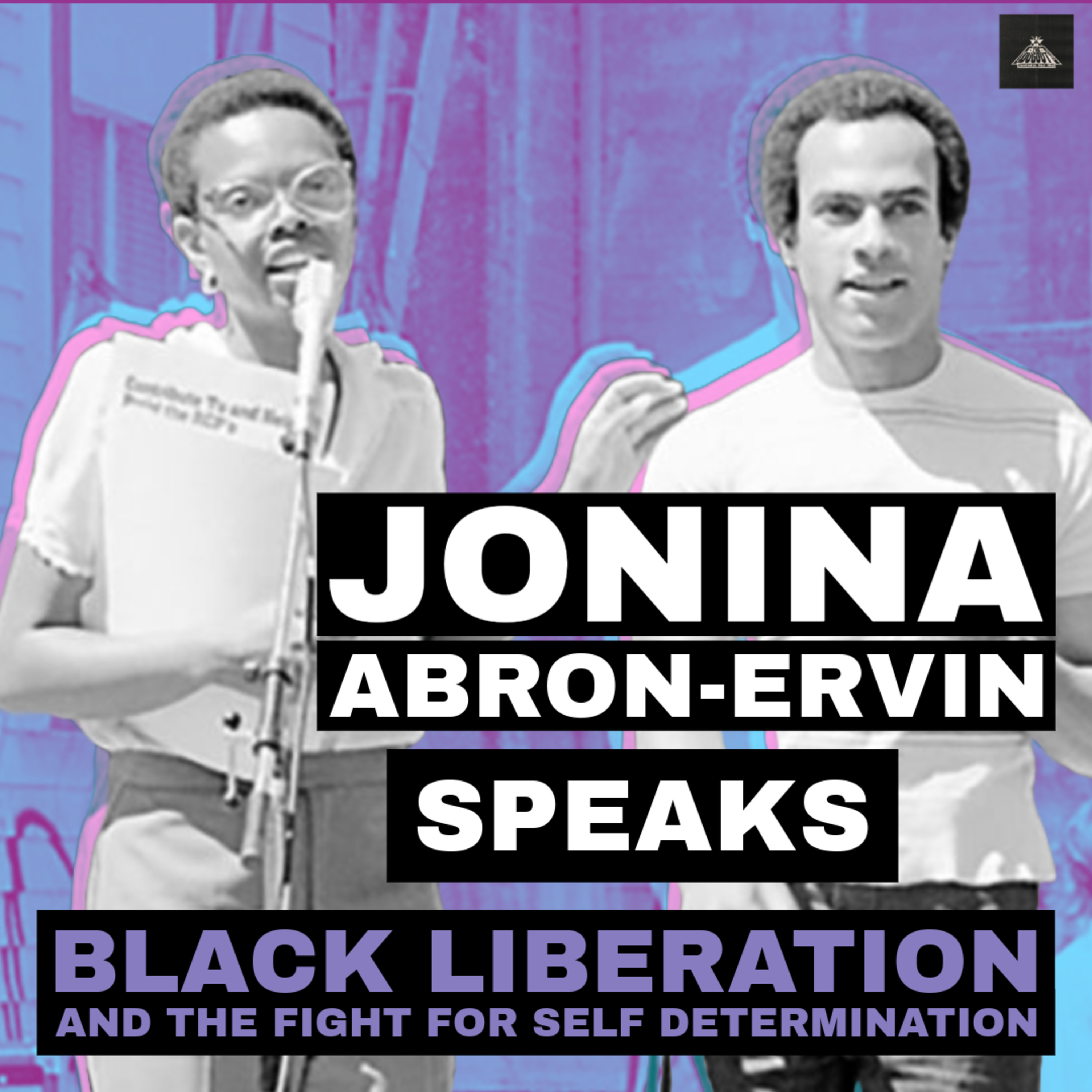 JONINA ABRON-ERVIN, Former BPP Editor on Black Anarchism [BLACK PANTHER PARTY SPEAKS] episode artwork