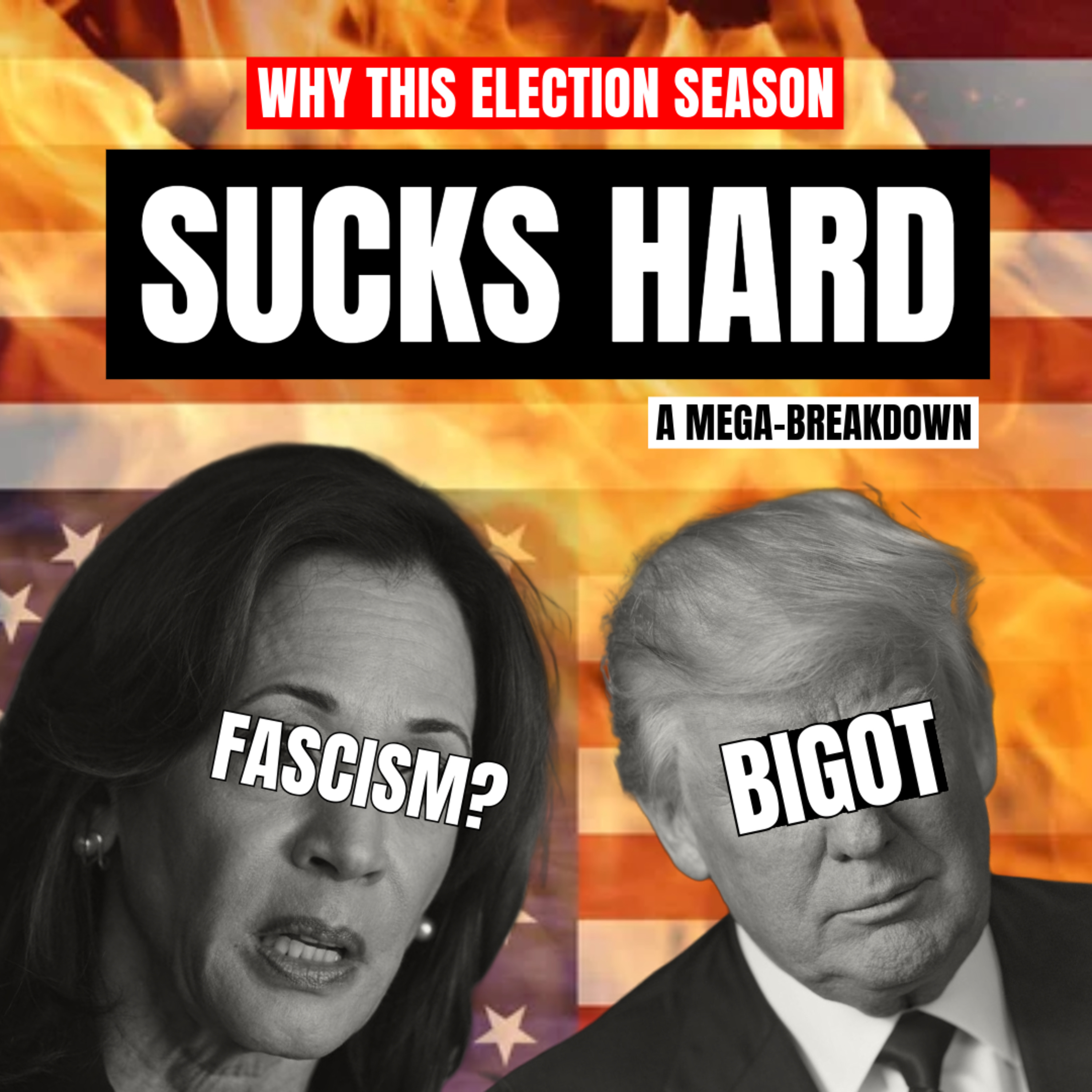 Why This Election Season SUCKS HARD: a mega-compilation on the FAILURES OF US ELECTORALISM episode artwork
