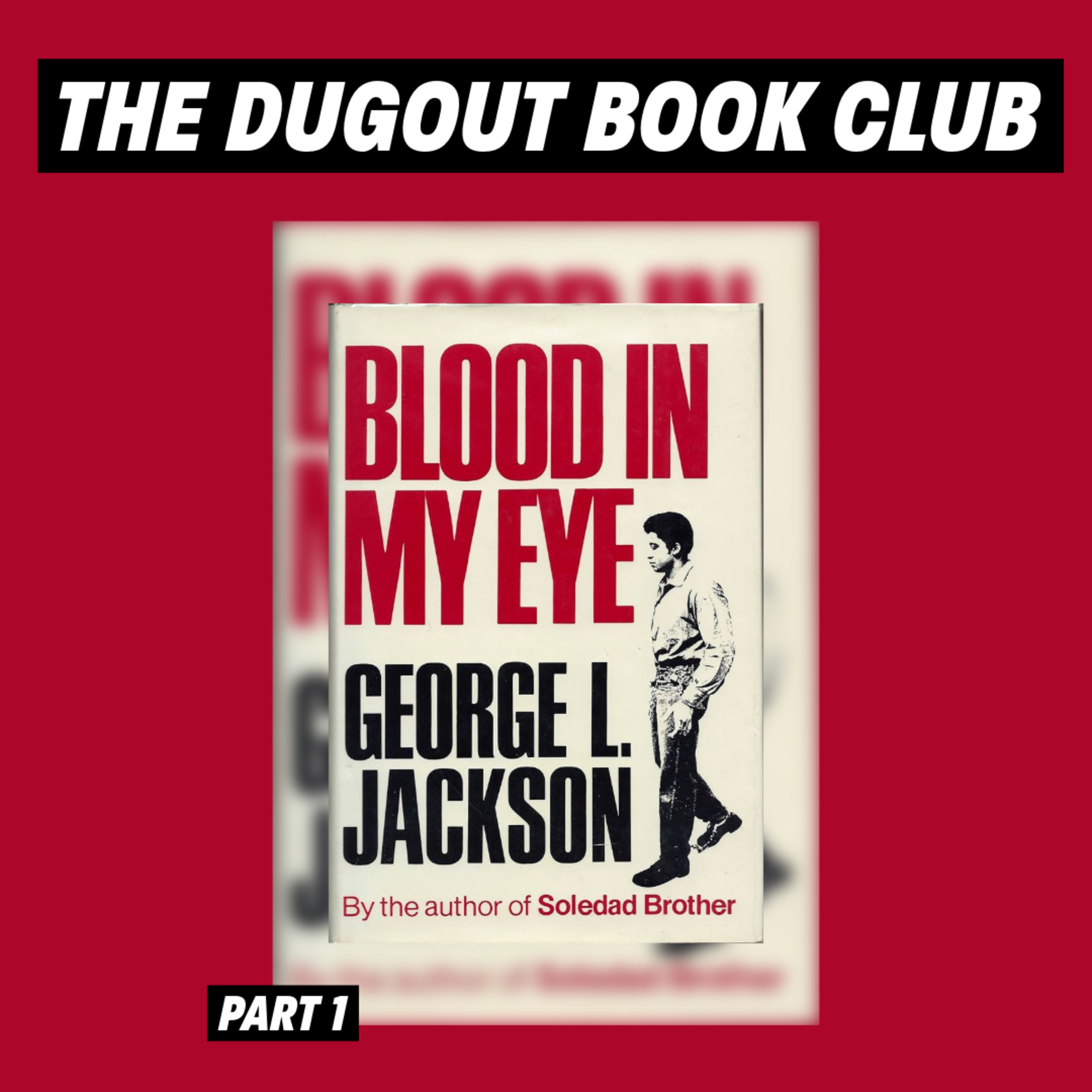 The Dugout | a black anarchist podcast