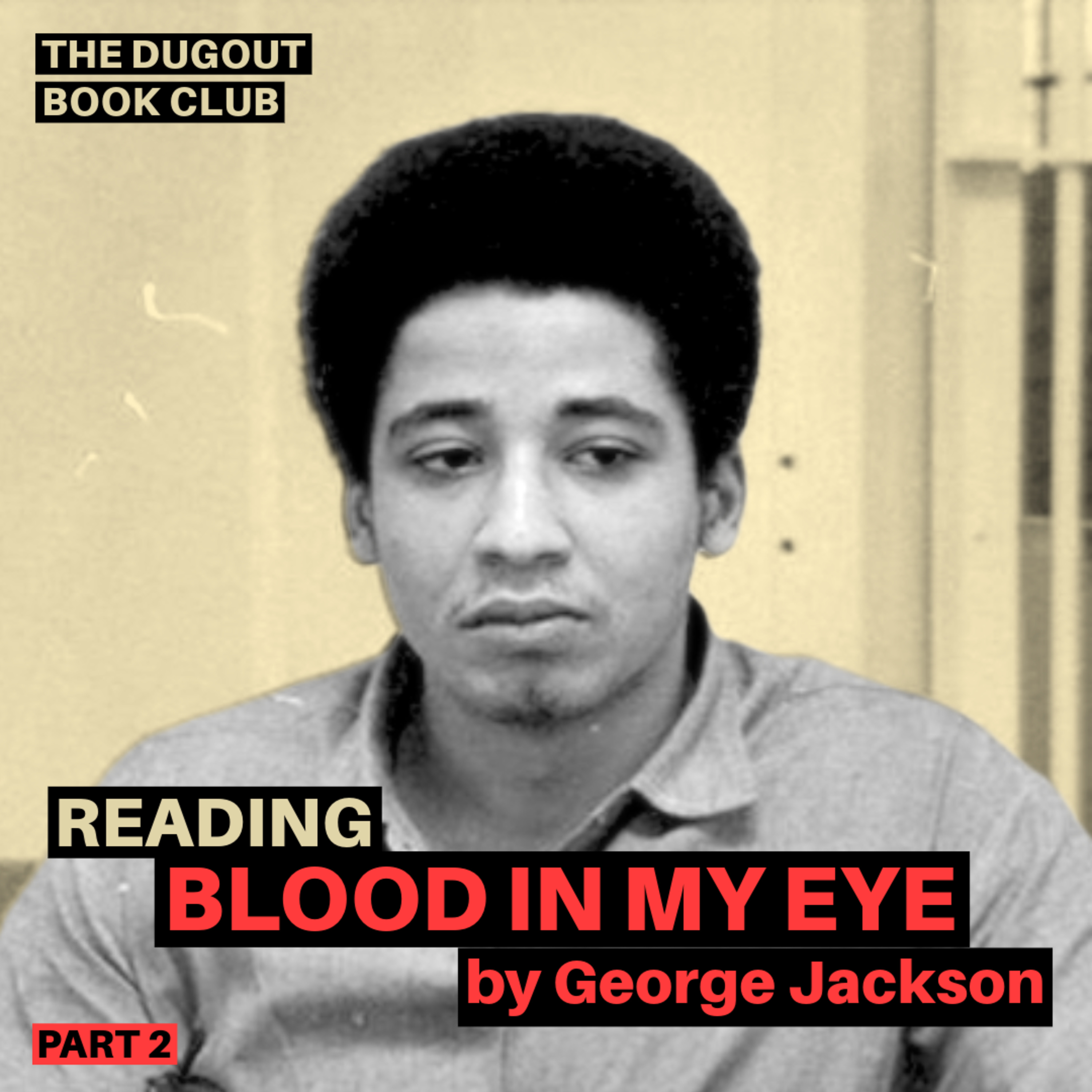The Dugout | a black anarchist podcast