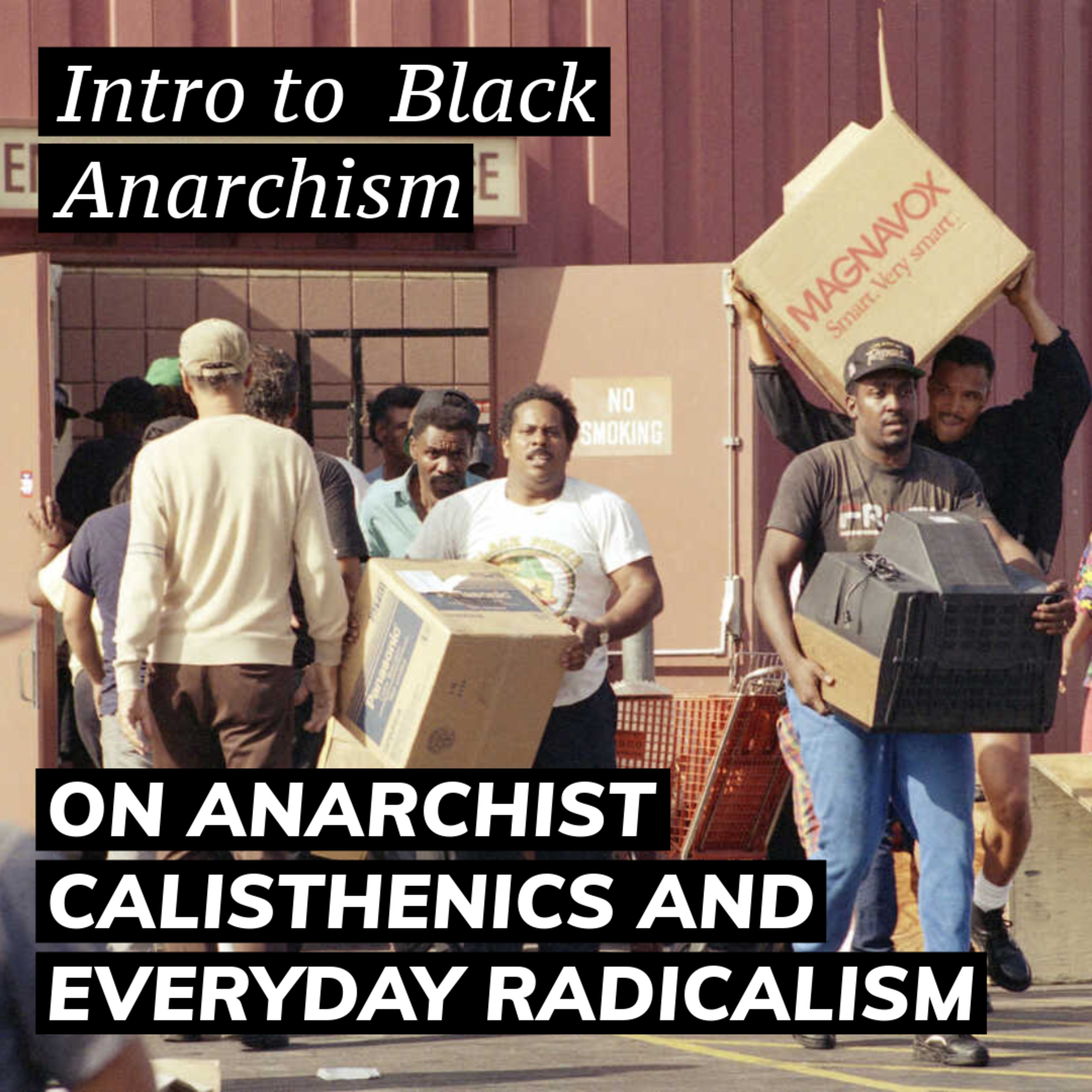 ANARCHIST CALISTHENICS: The Theory That Will Change Your Life [Intro to Black Anarchism] episode artwork