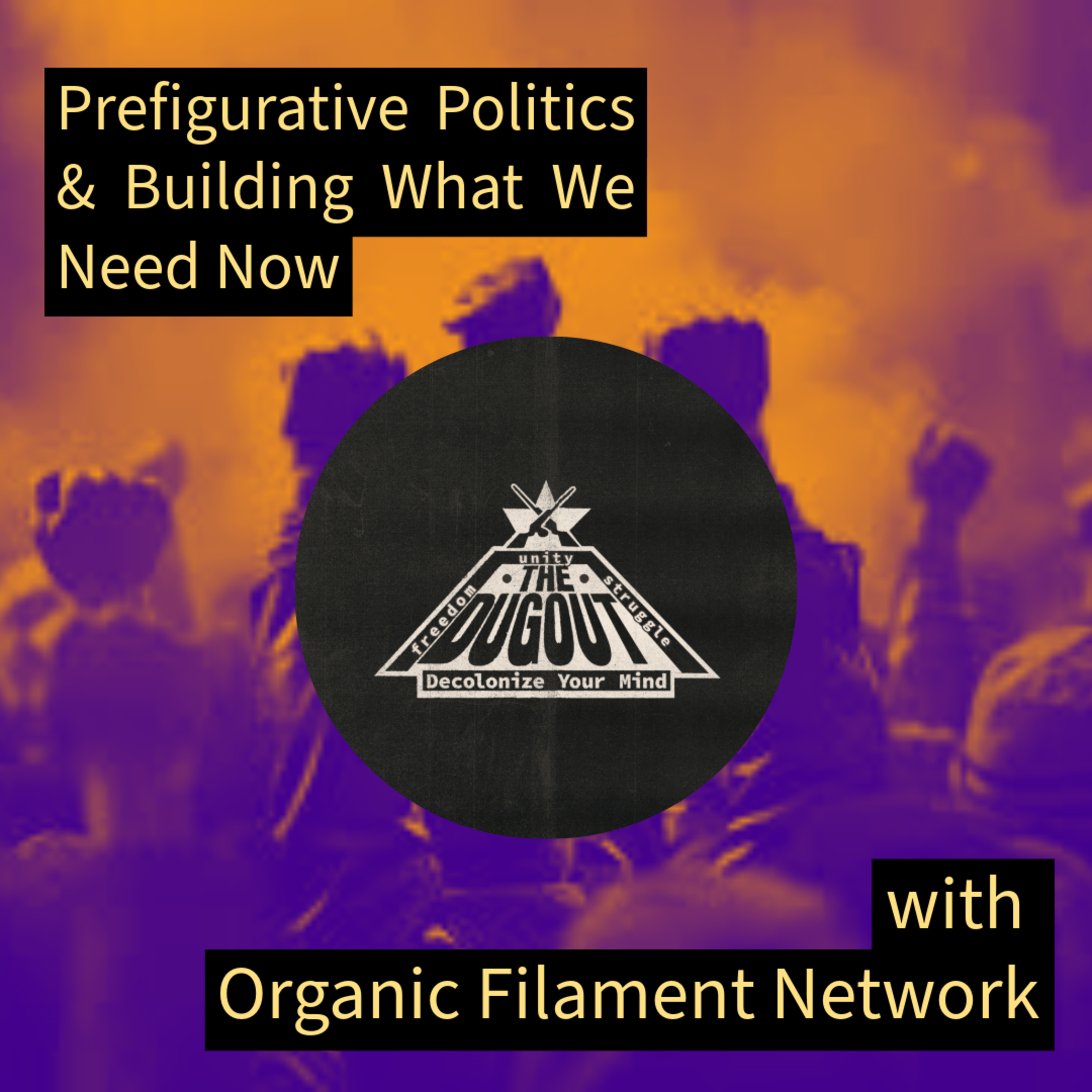 Prefigurative Politics & Building What We Need Now W/ Organic Filament Network episode artwork