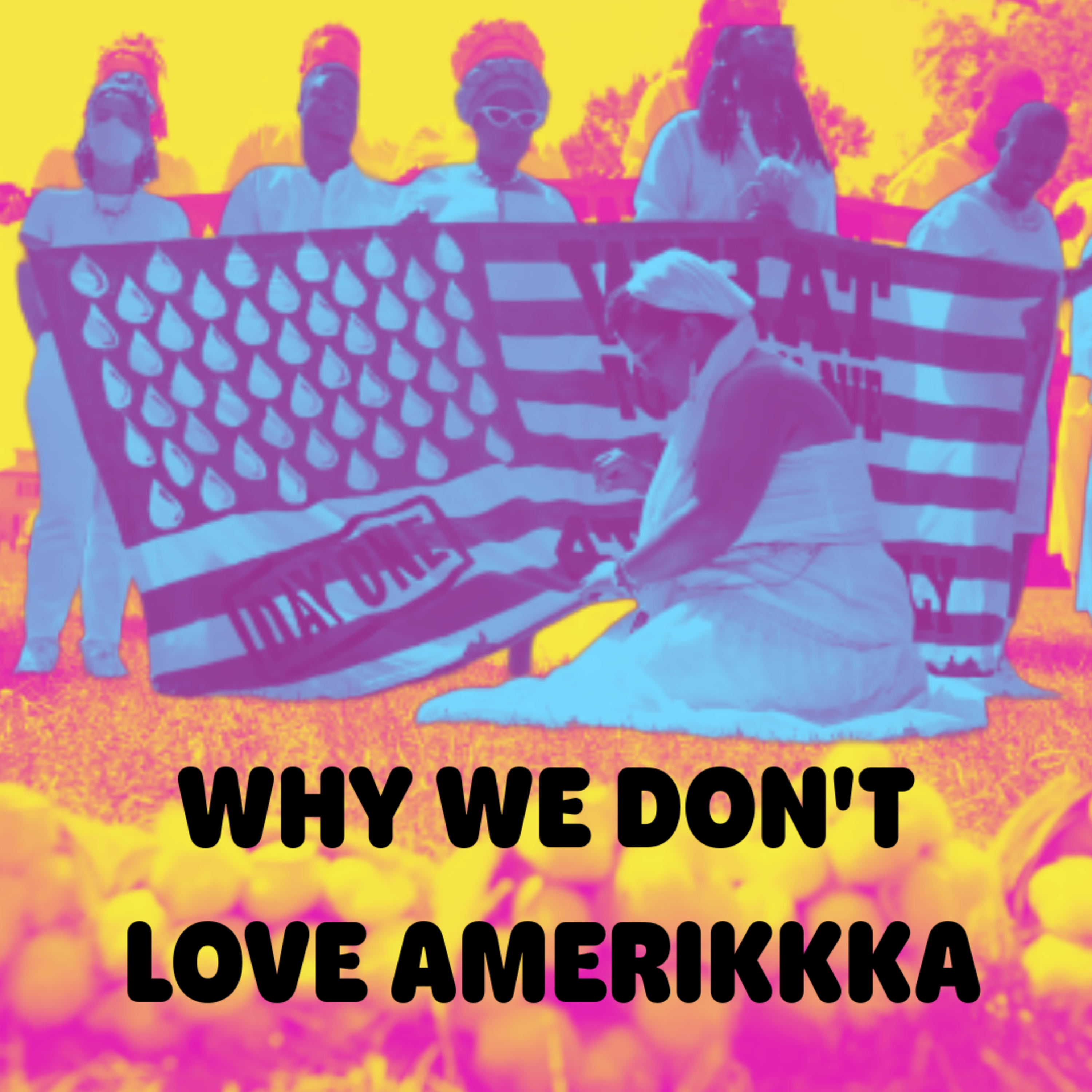Why We Don't Love Amerikkka episode artwork