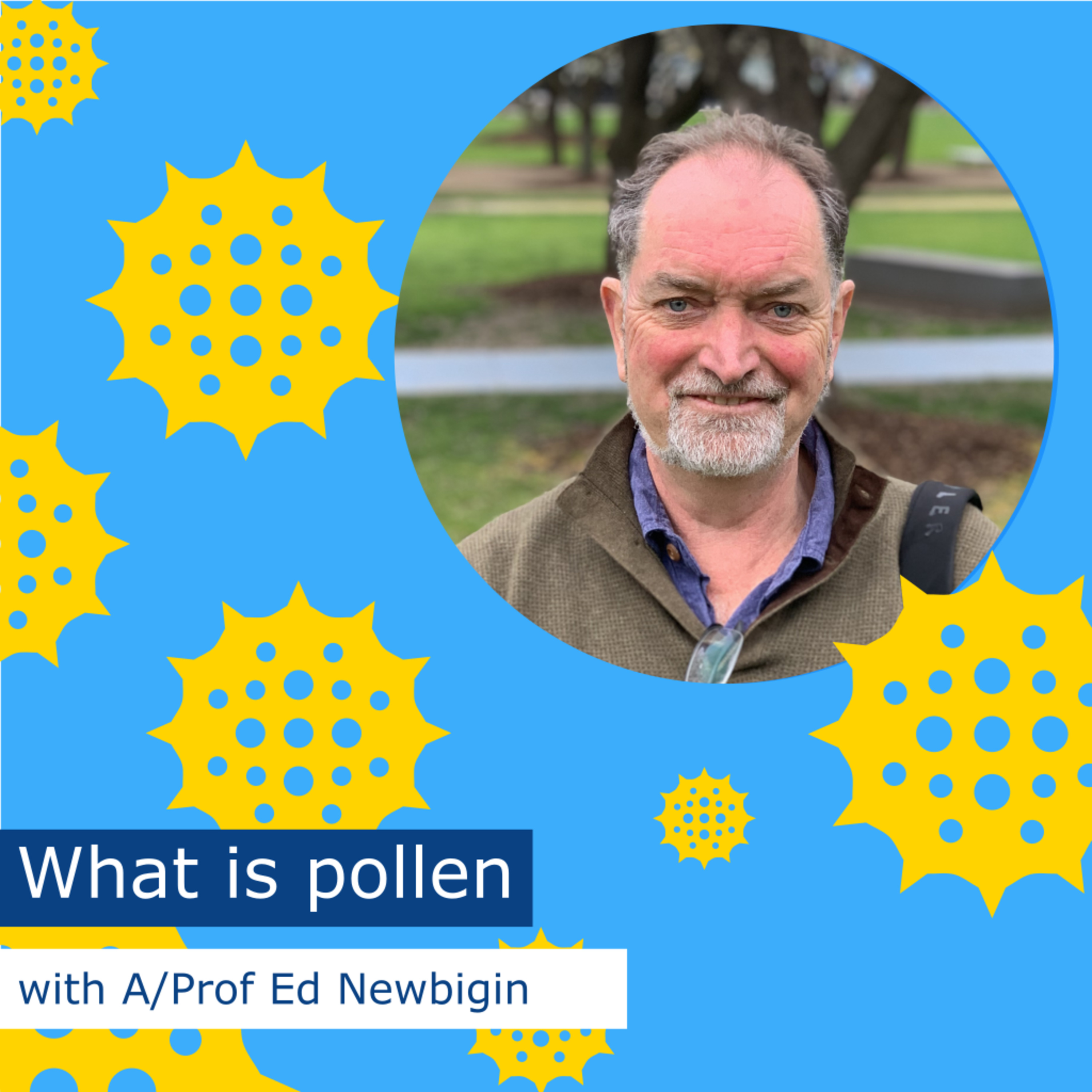 What is pollen with A/Prof Ed Newbigin episode artwork
