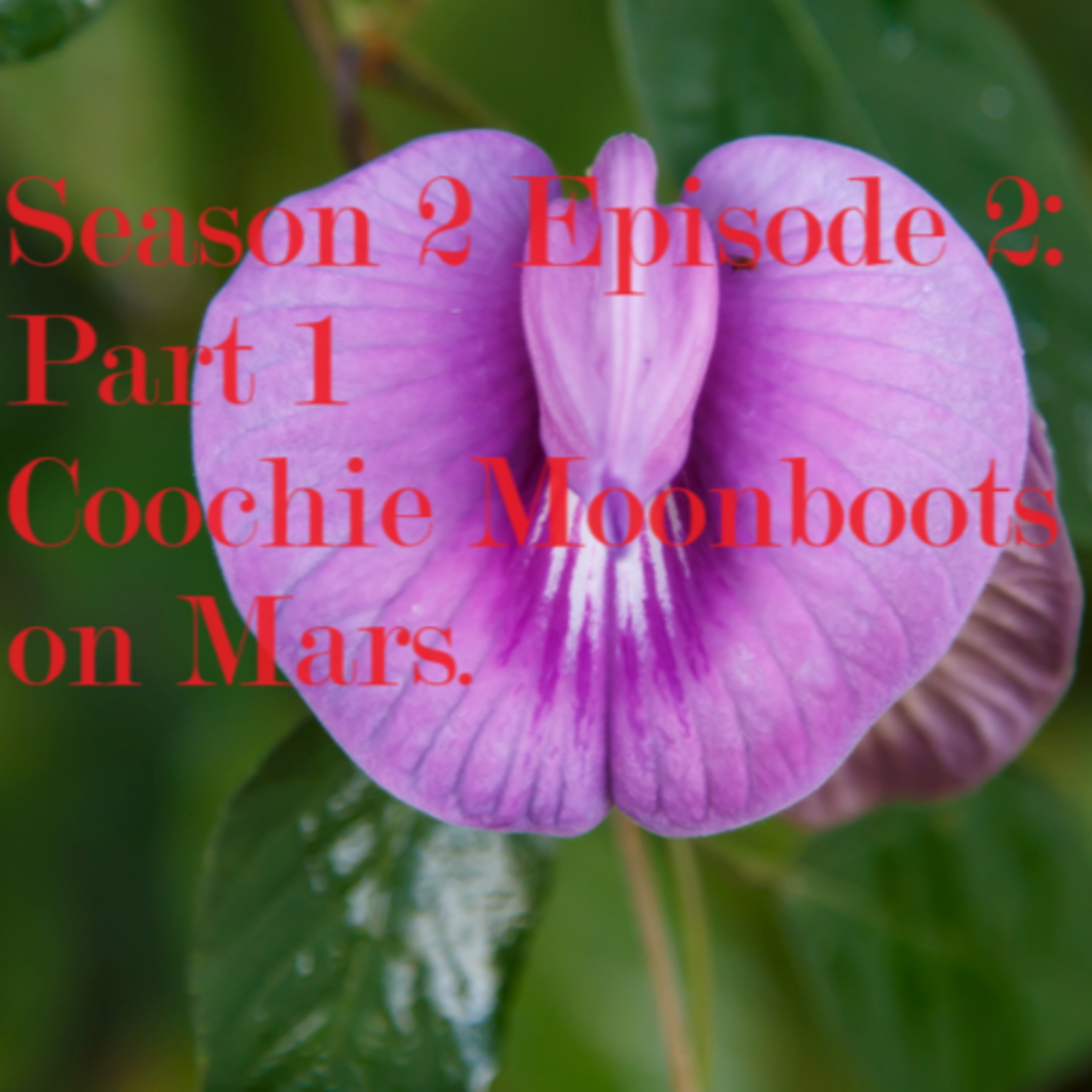 Season 2 Episode 2: Part 1, Coochie Moonboots on Mars  episode artwork