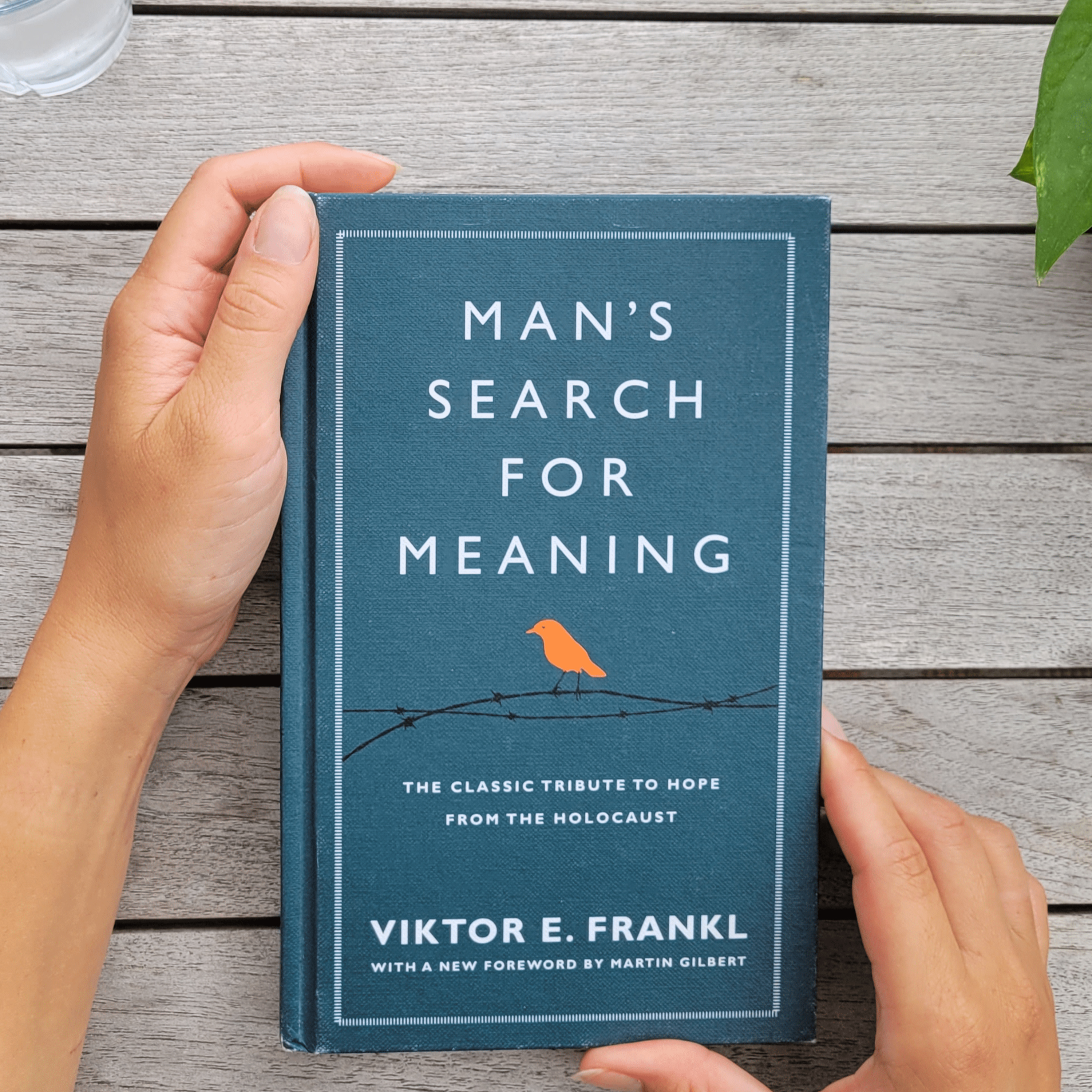 Viktor Frankl - Man's Search for Meaning Part 3 episode artwork