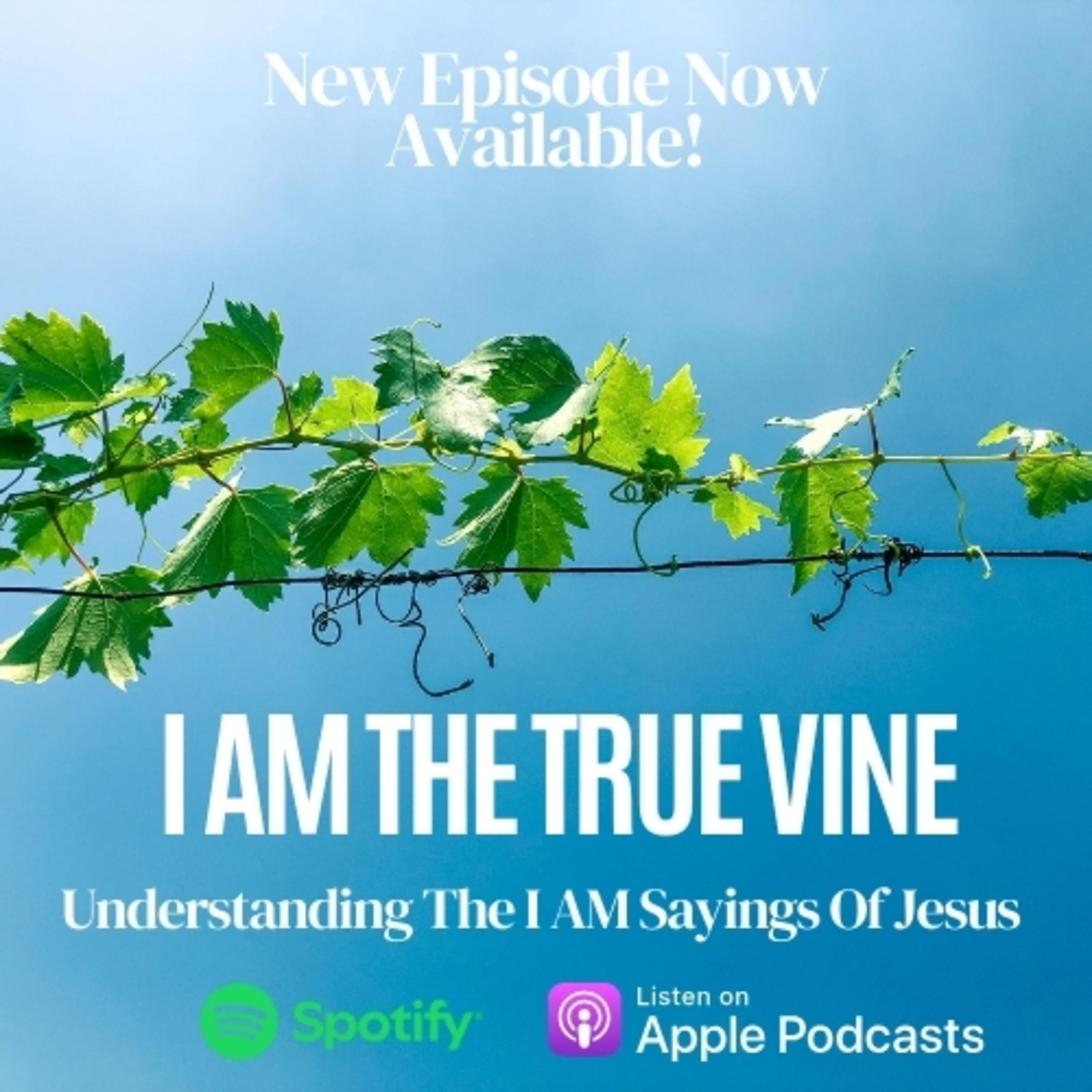 Chewing The Manna Podcast