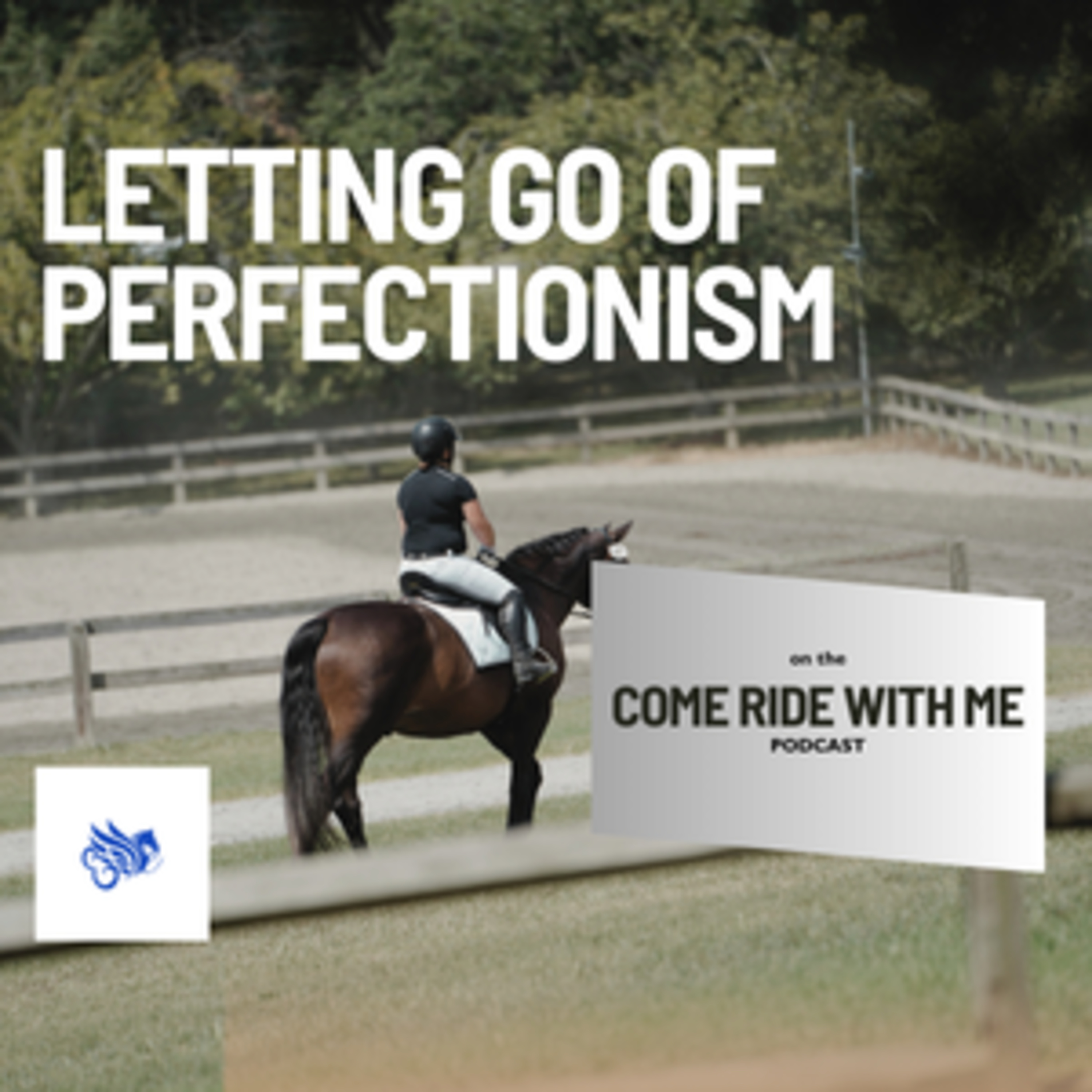 40. How to start a conversation with your horse. episode artwork