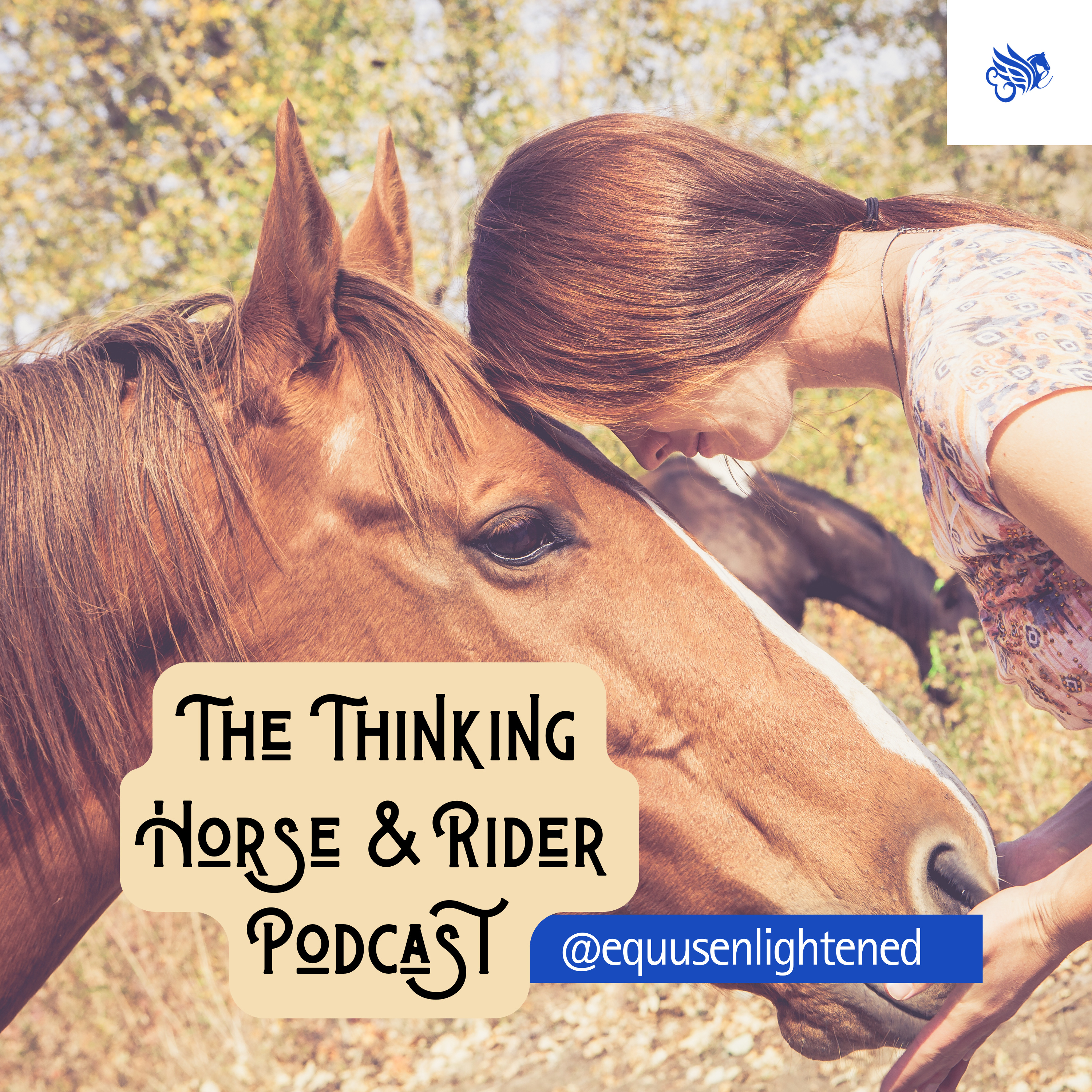47. Empathic Discipline: Holding Space Without Losing Yourself episode artwork