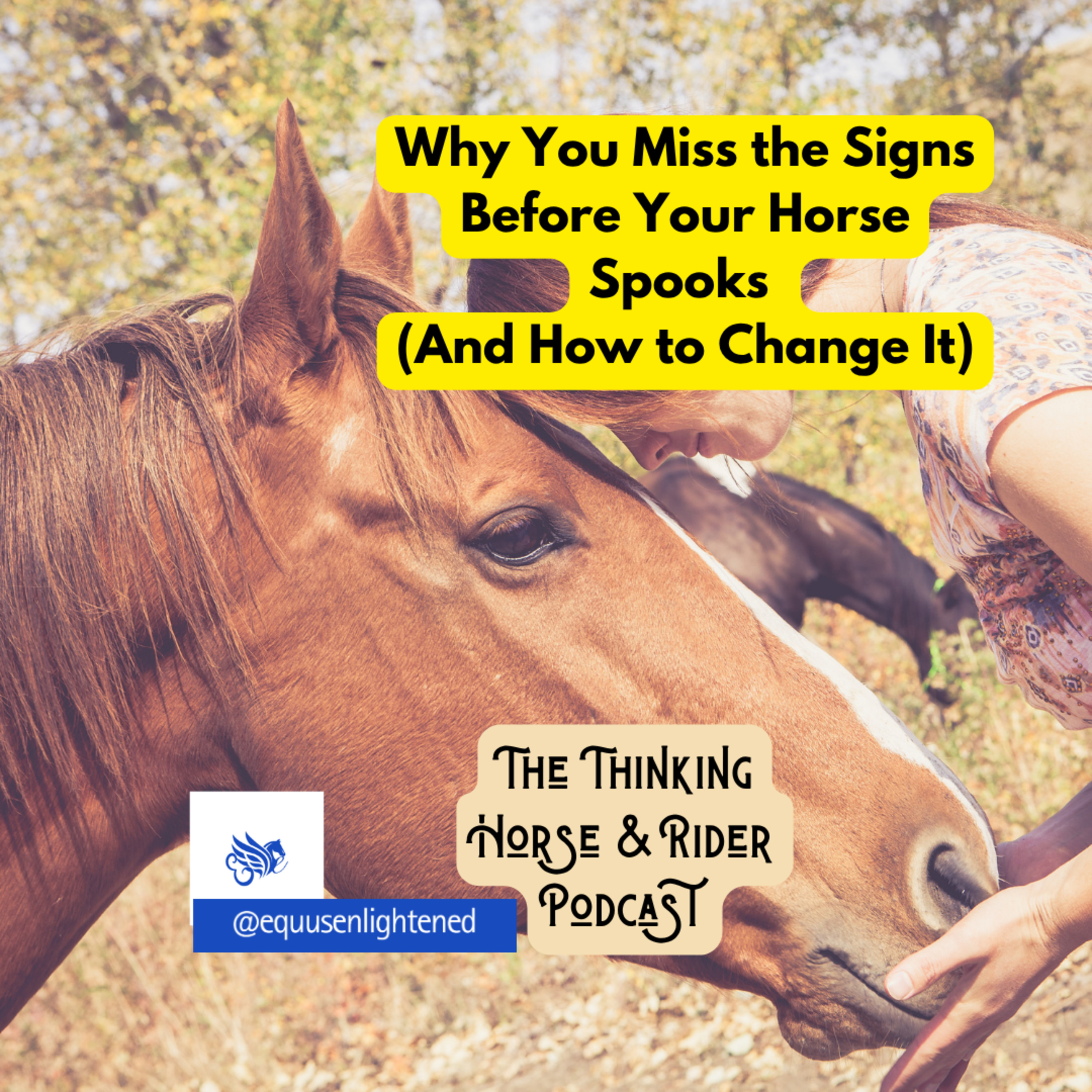 71. Why You Miss the Signs Before Your Horse Spooks (And How to Change It) episode artwork