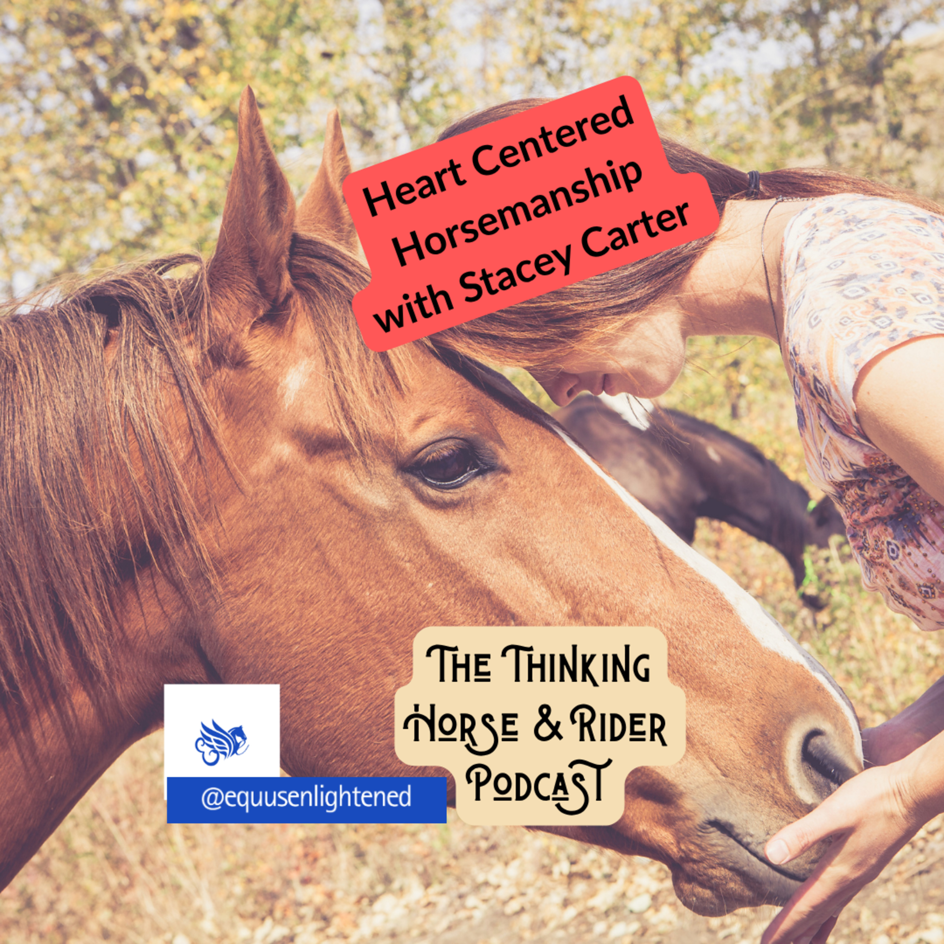 72. Heart Centered Horsemanship with Stacey Carter episode artwork