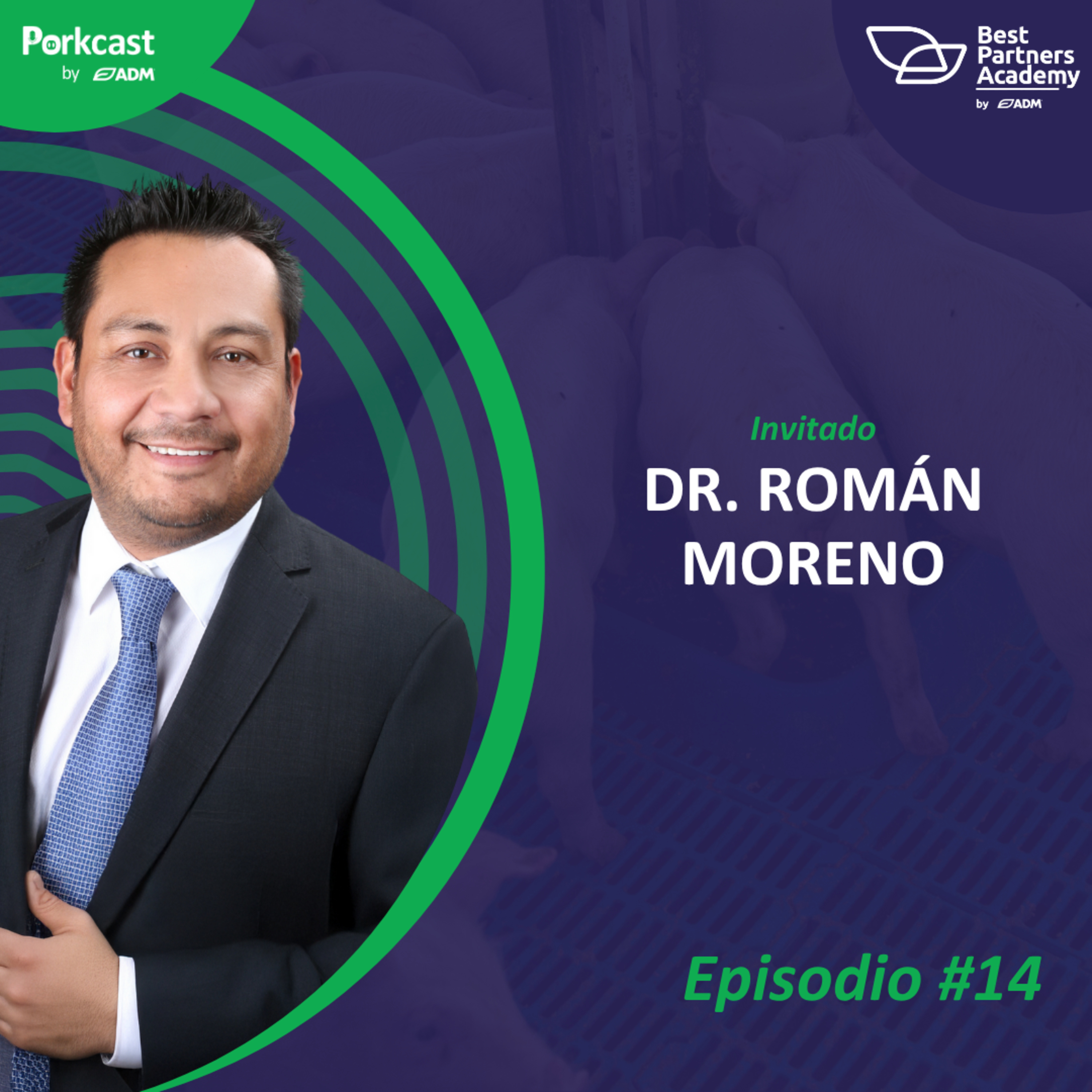 #14 - Nutrición animal: De la teoría a la práctica - Dr. Román Moreno episode artwork