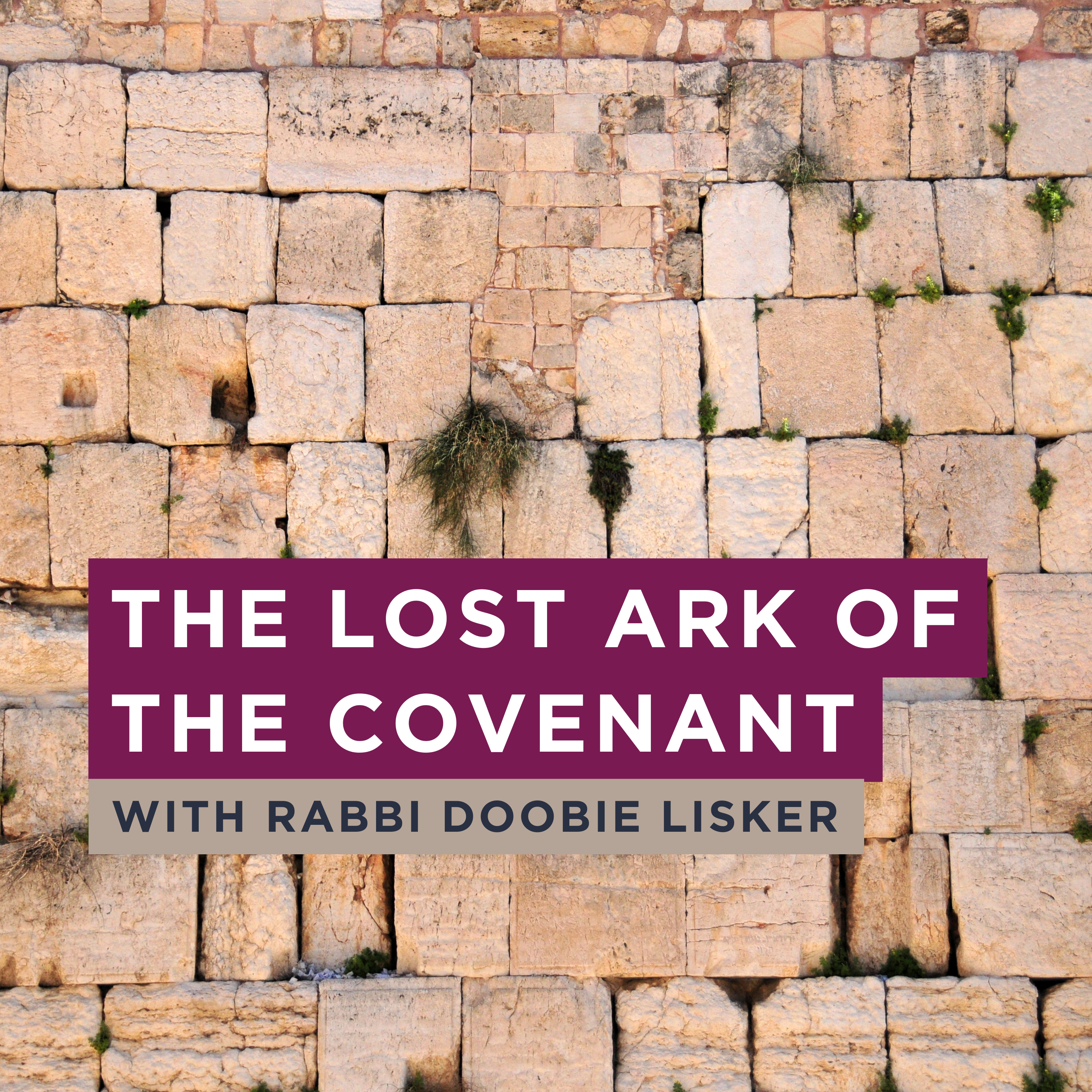 The Lost Ark of the Covenant: What is the Real Story? episode artwork