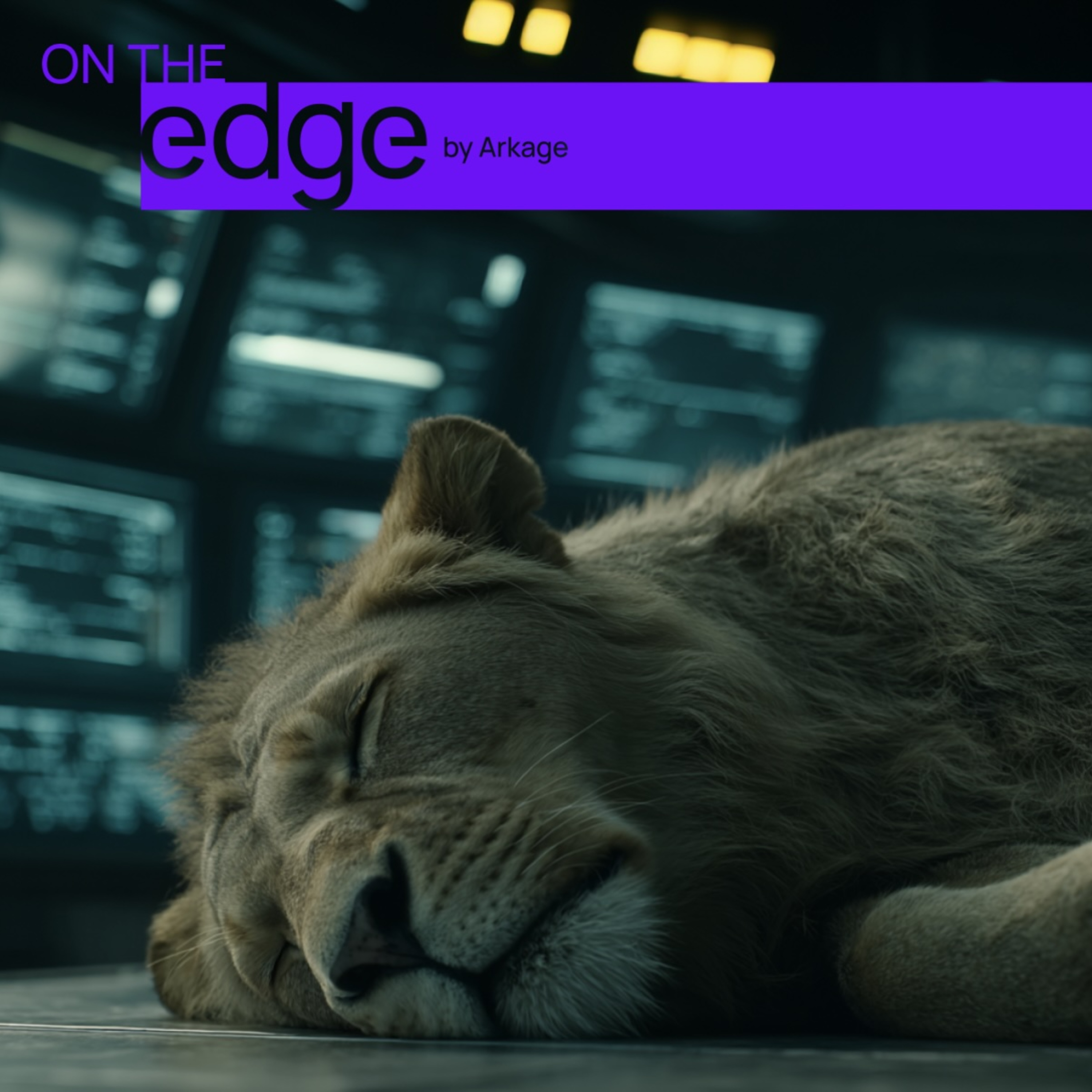 On the edge by Arkage