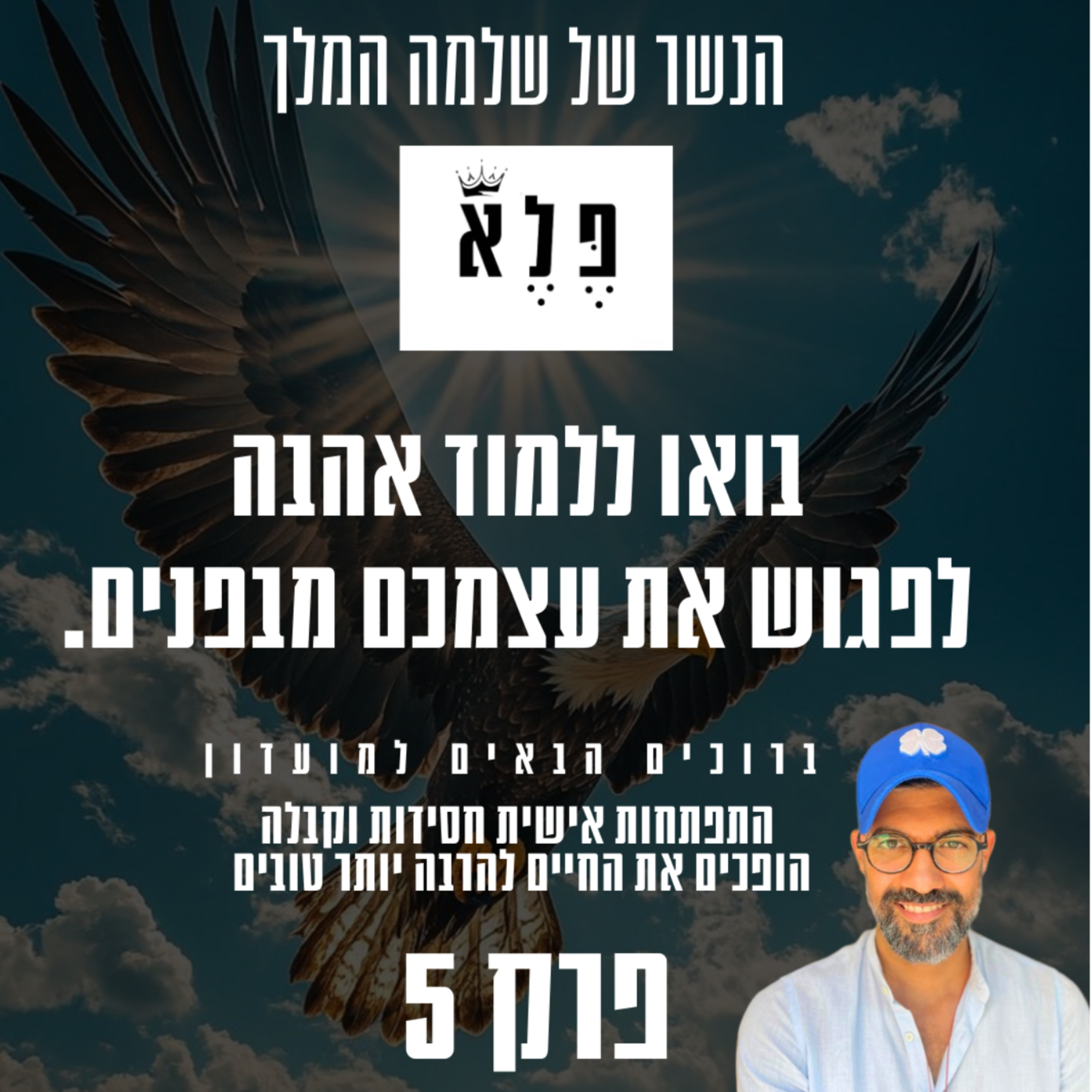 הנשר הגדול של שלמה  episode artwork