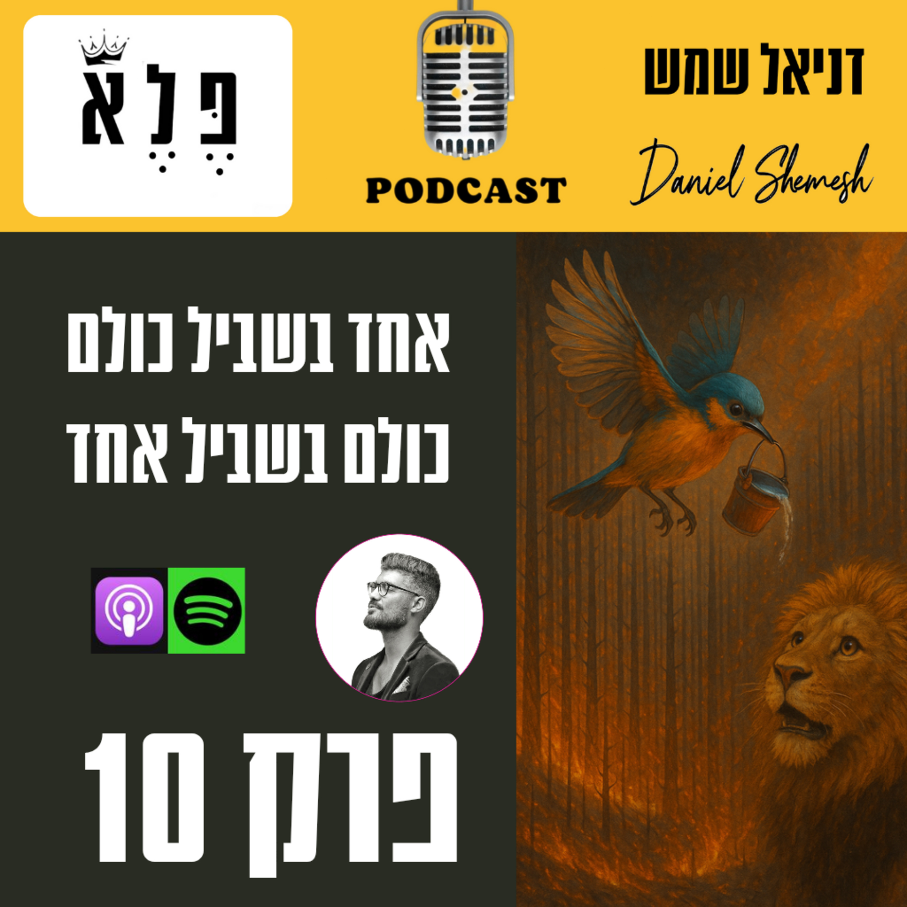 אחד בשביל כולם - כולם בשביל אחד