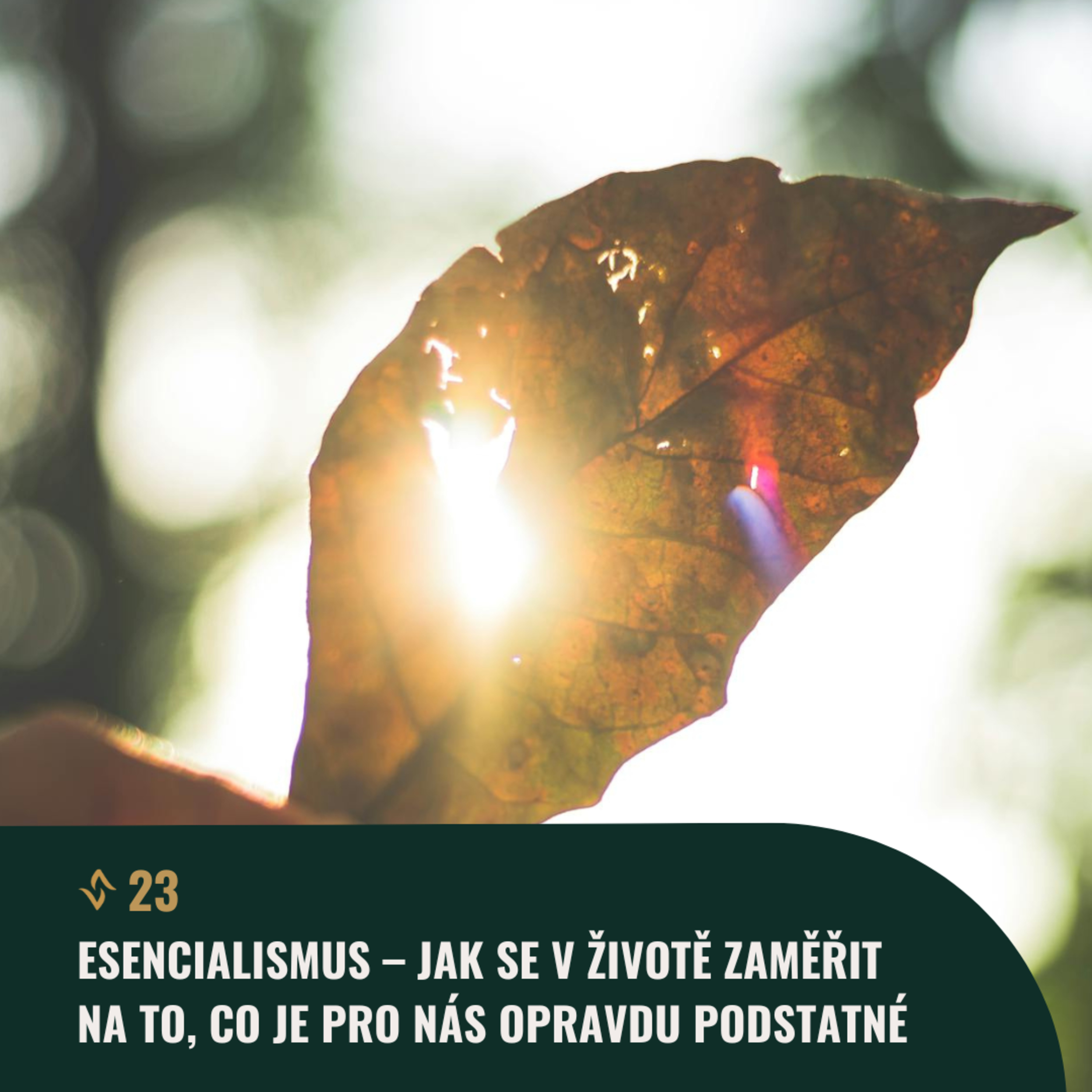 Čistá mysl