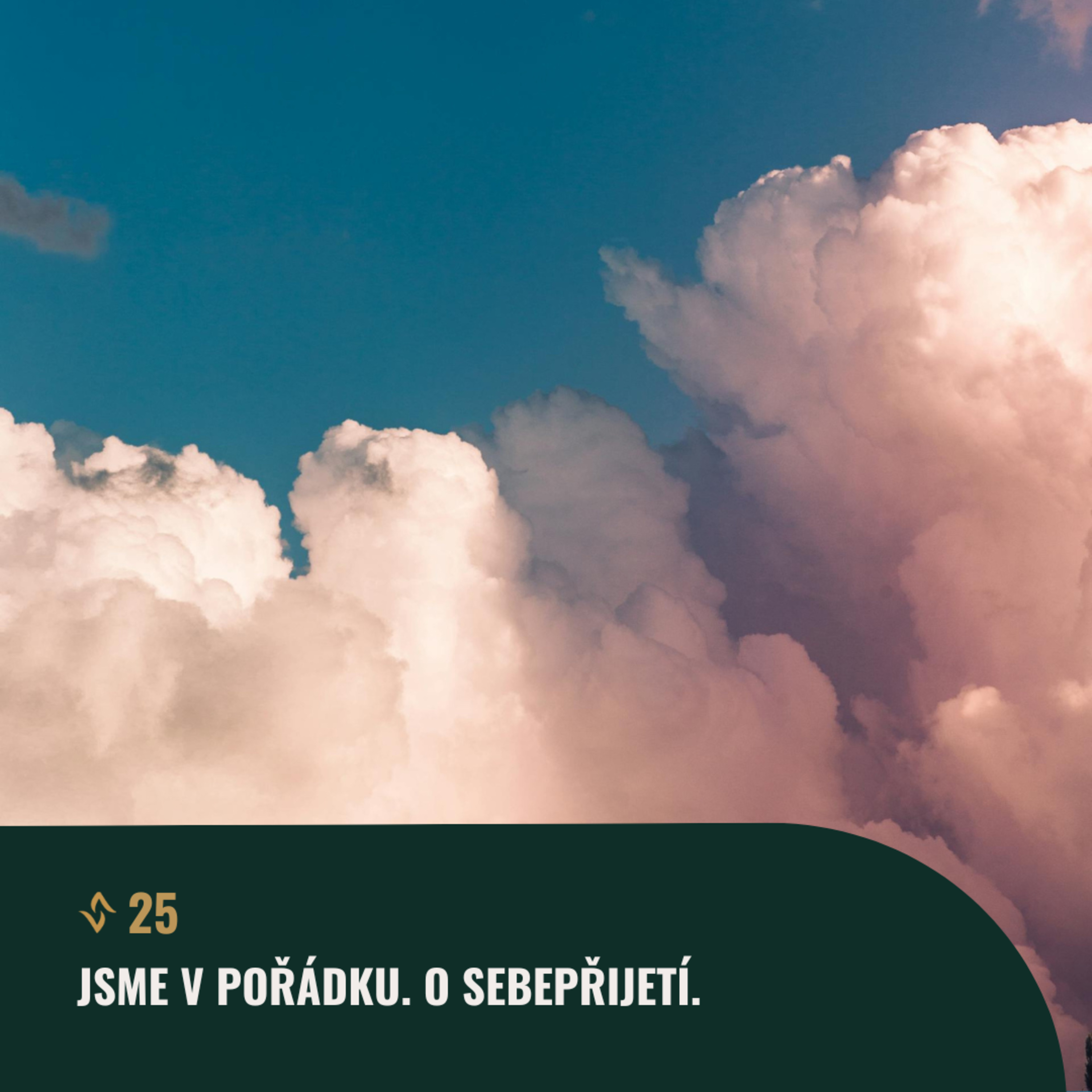 Čistá mysl