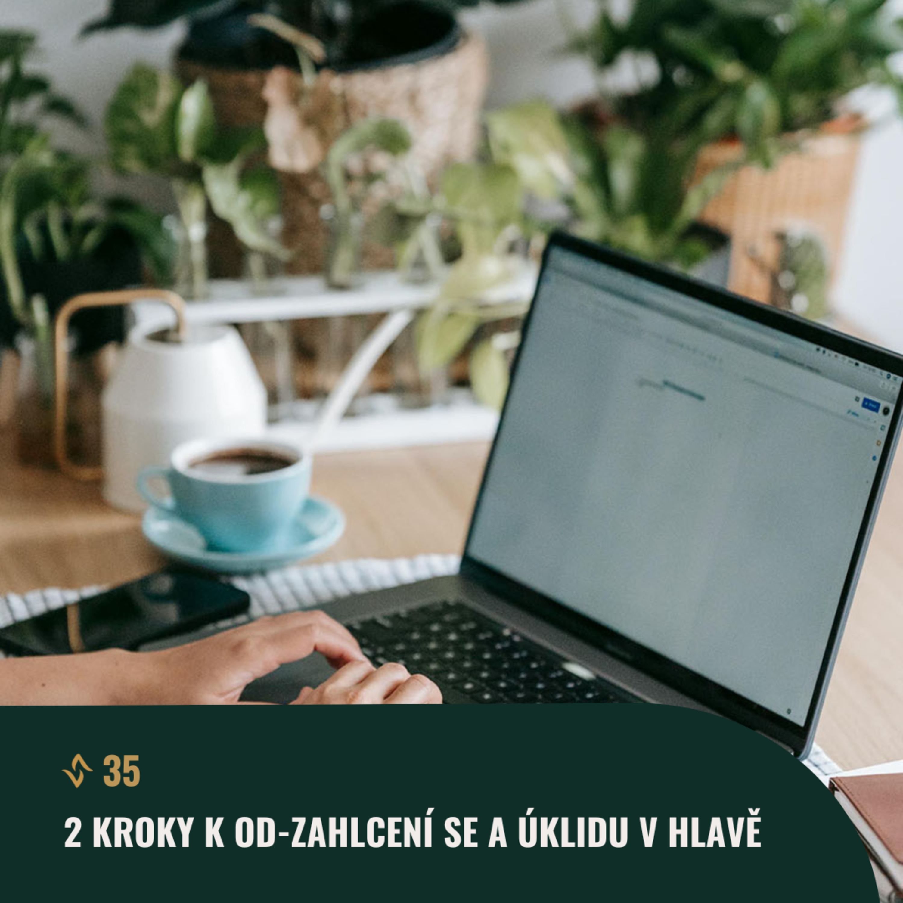 #35: 2 kroky k od-zahlcení se a úklidu v hlavě episode artwork
