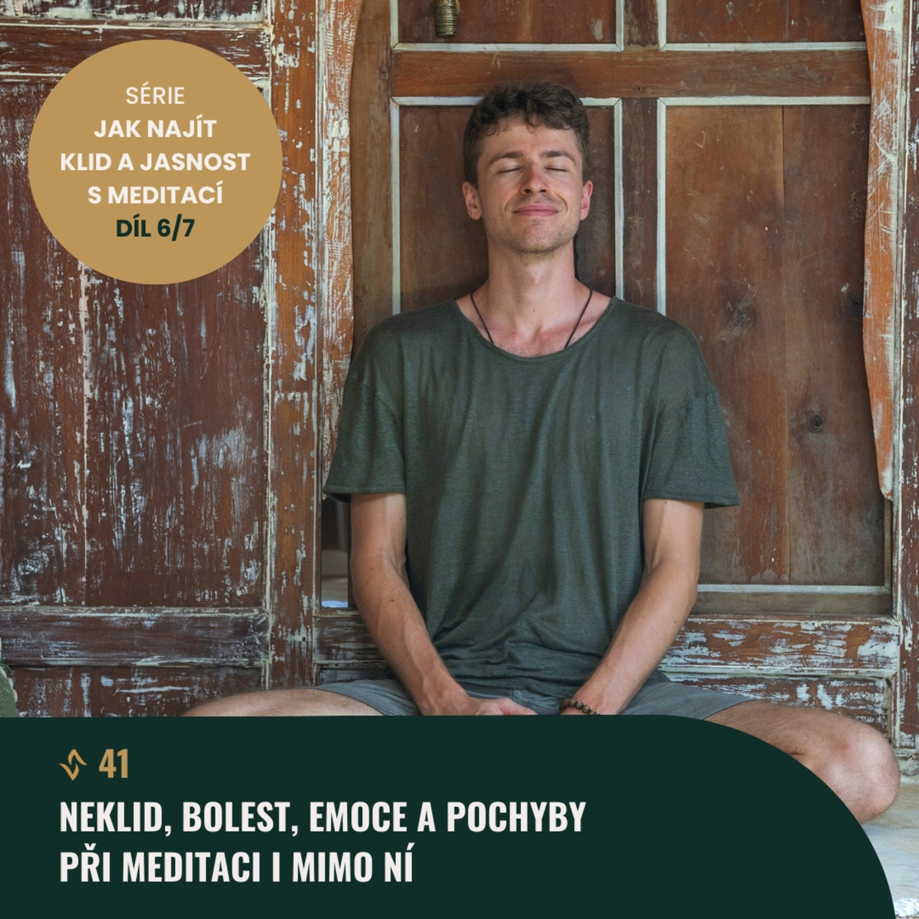 #41 (6/7) Neklid, bolest, emoce a pochyby při meditaci i mimo ní. Jak na to funkčně a laskavě? episode artwork