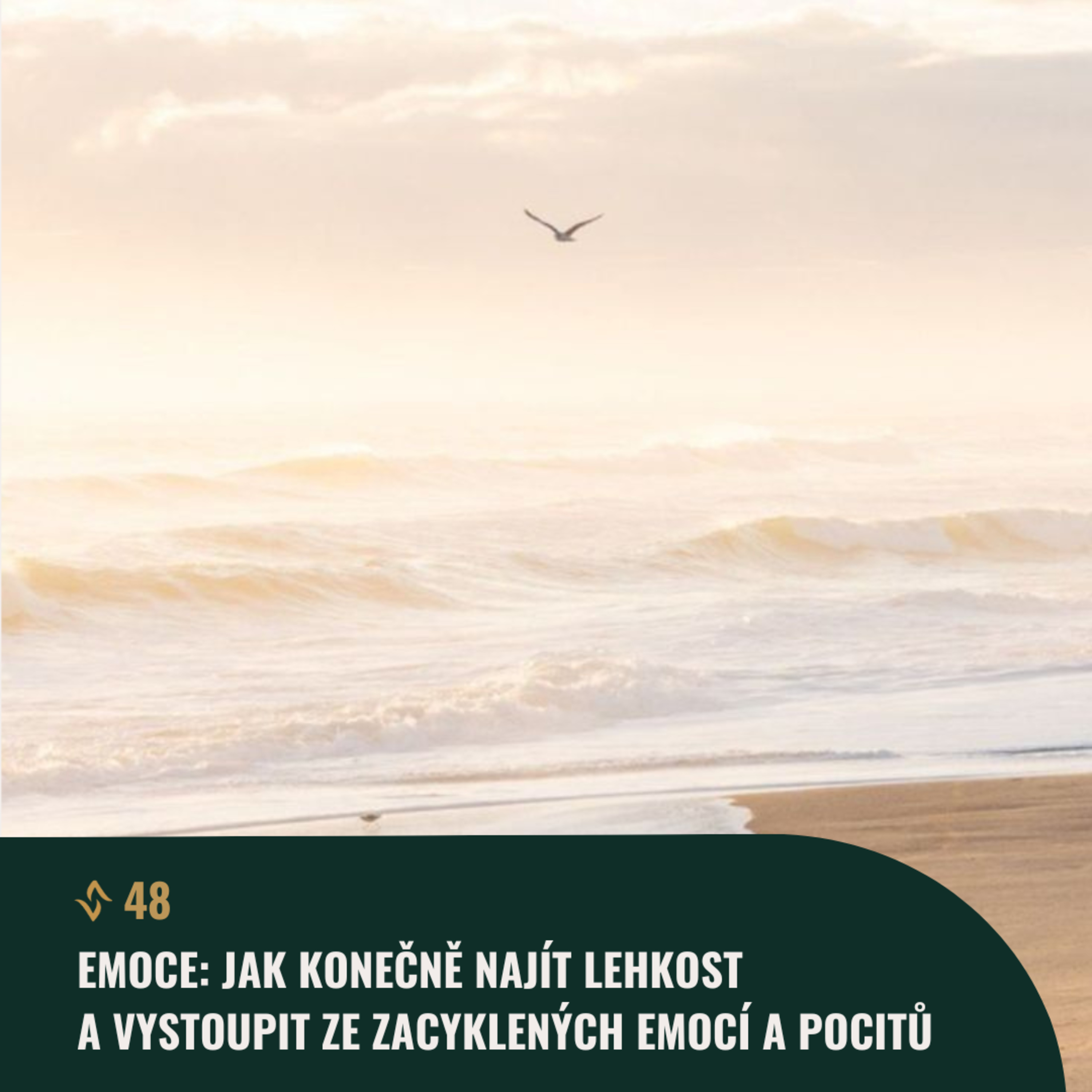 #48 Emoce – Jak konečně najít lehkost a vystoupit ze zacyklených emocí a pocitů episode artwork