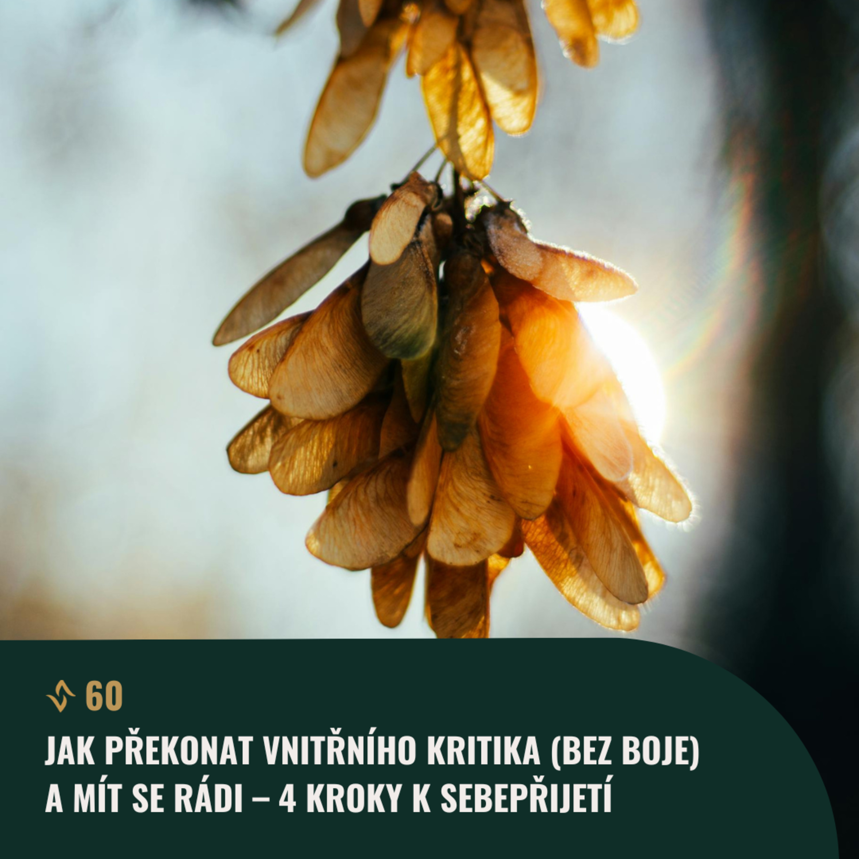 #60 Jak překonat VNITŘNÍHO KRITIKA (bez boje) a mít se rádi – 4 kroky k sebepřijetí episode artwork