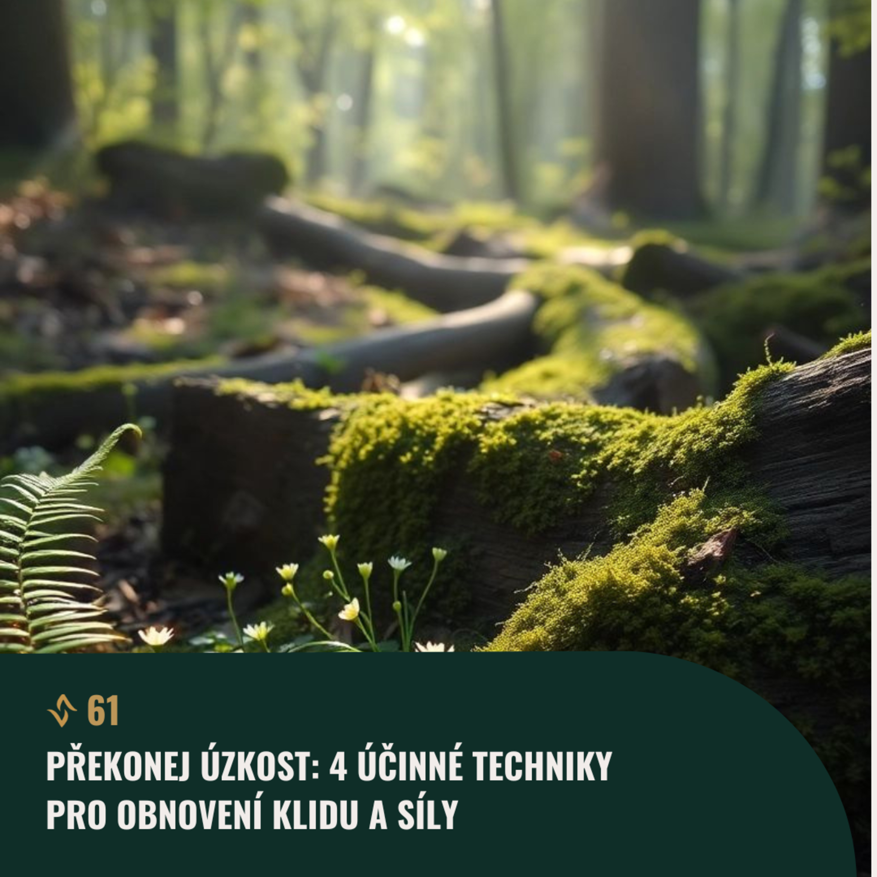 #61 Překonej ÚZKOST: 4 účinné techniky pro obnovení klidu a síly episode artwork