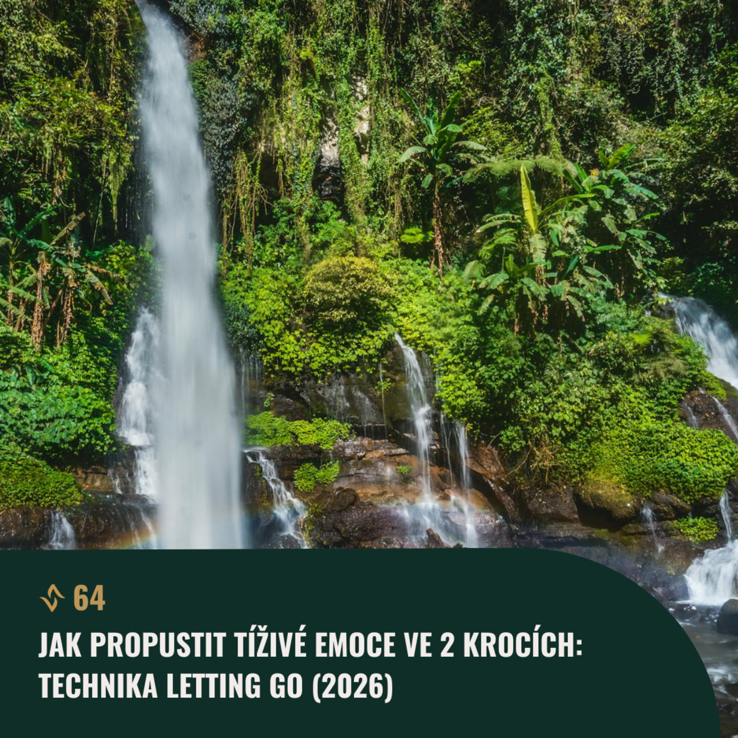#64 Jak propustit tíživé emoce ve 2 krocích | Technika Letting Go (2026) episode artwork