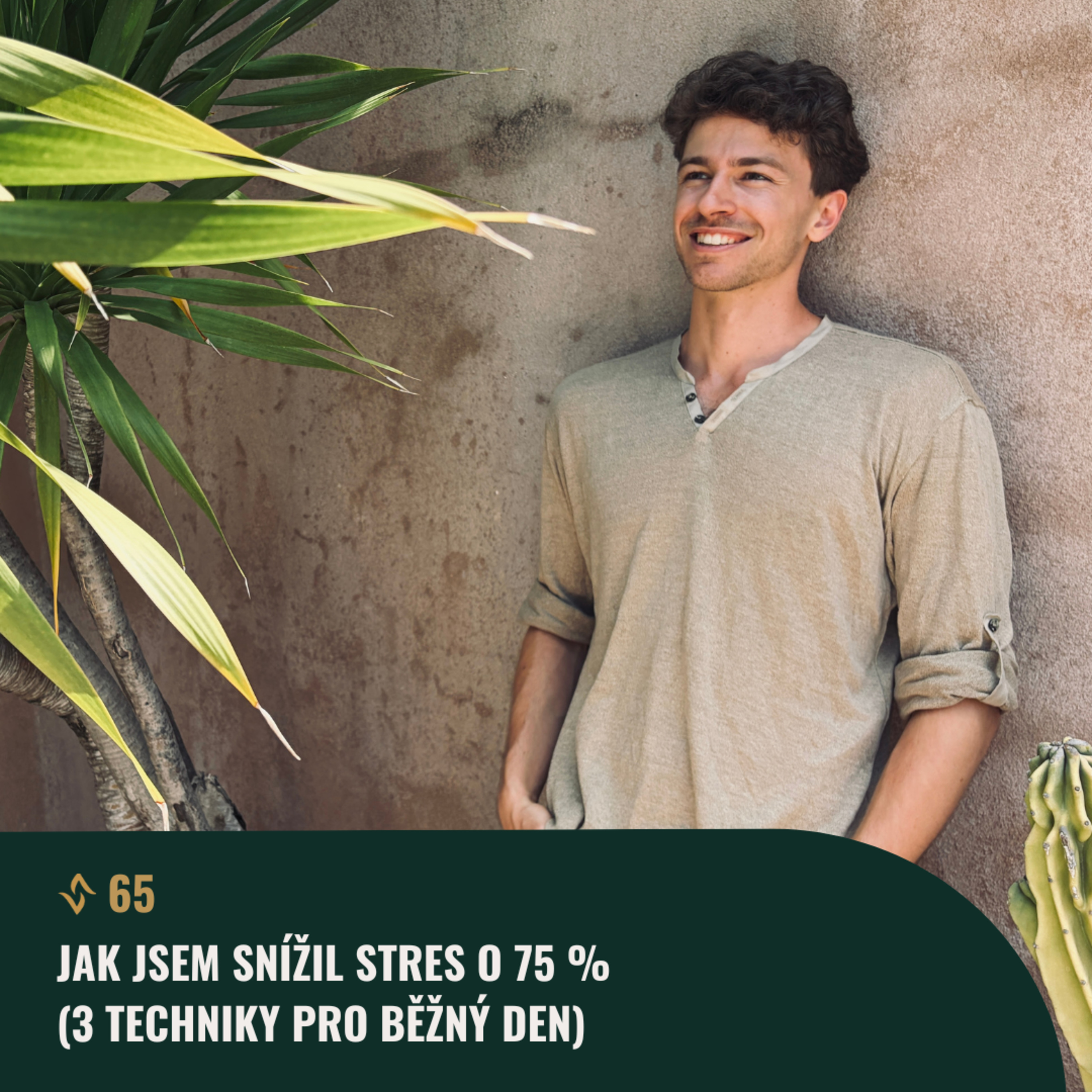 #65 Jak jsem snížil stres o 75 % (3 techniky pro běžný den) episode artwork