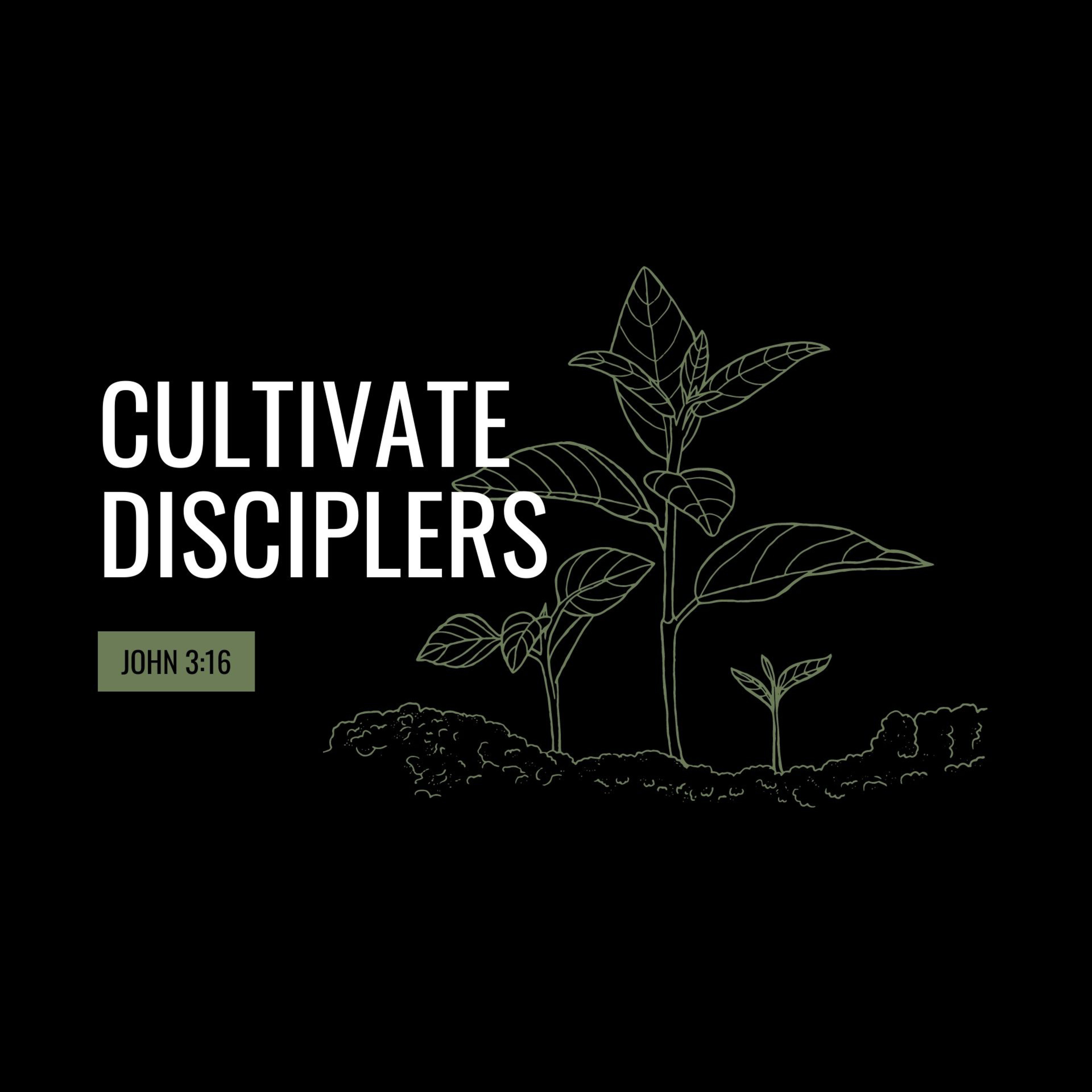 The Path of Discipleship: Cultivate Disciplers - October 22, 2023 episode artwork