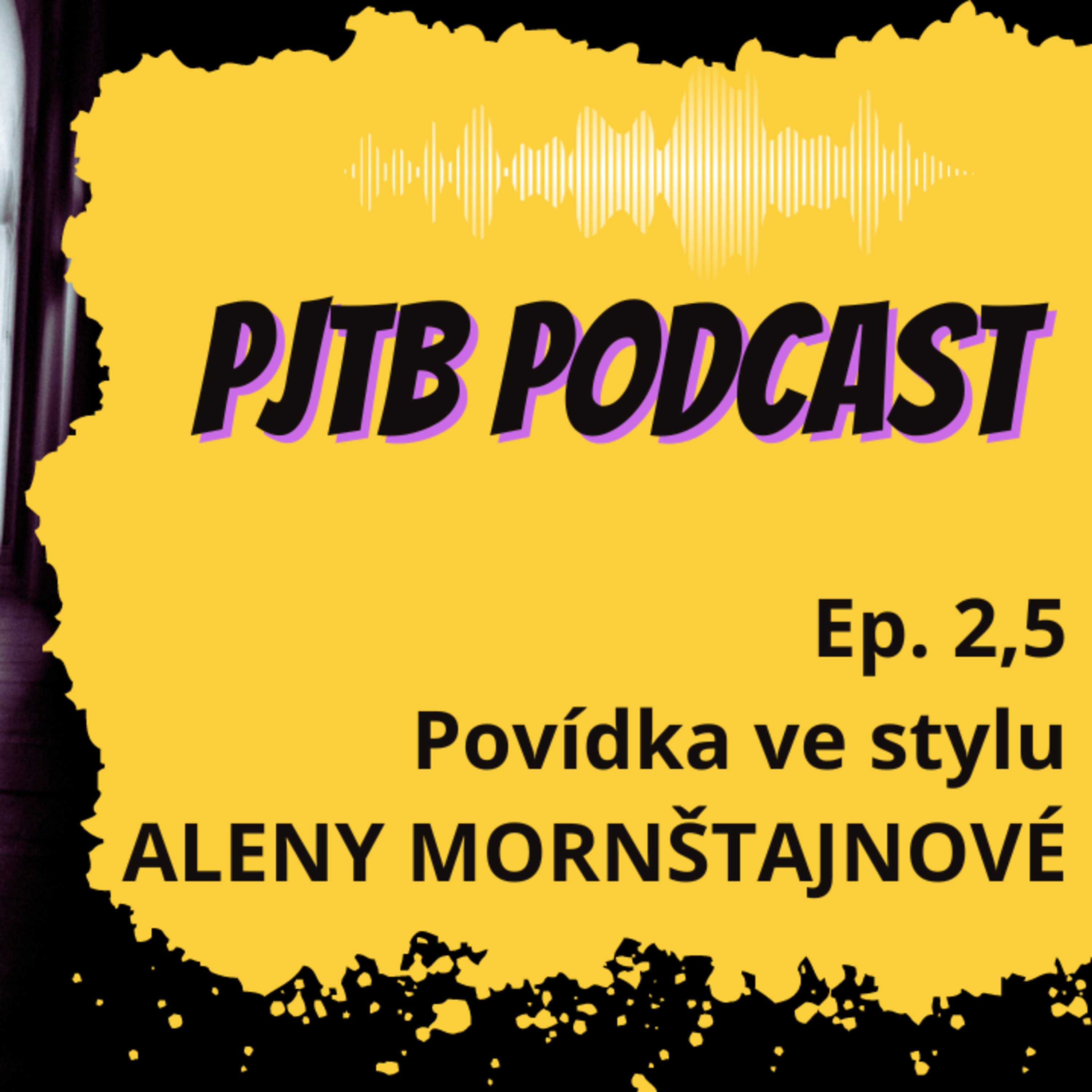 Ep. 2,5: Utajený víkend – Povídka ve stylu ALENY MORNŠTAJNOVÉ (Les v domě) episode artwork