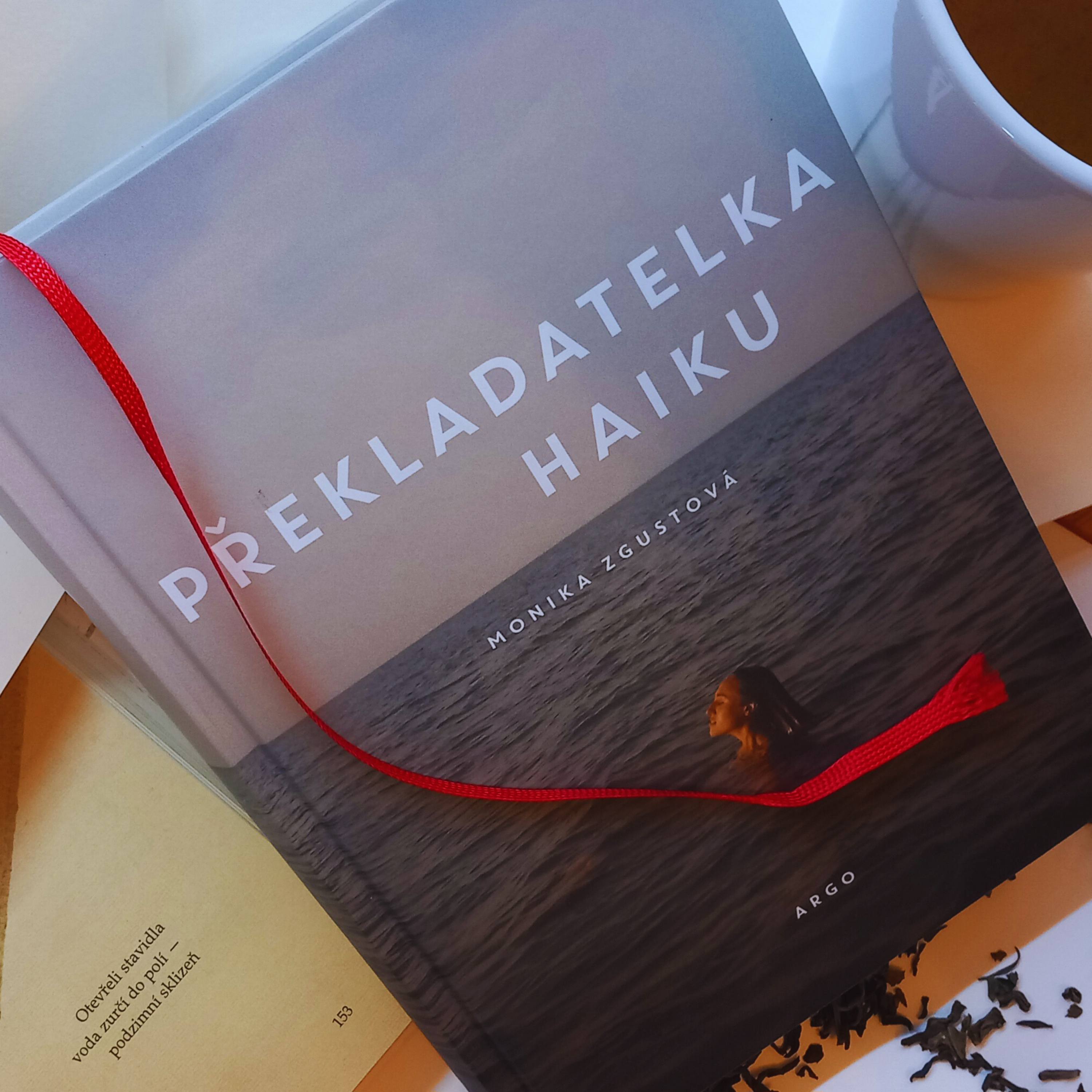 Potřebuju překlad pro Překladatelku od překladatelky. Zn. Moje chyba? episode artwork