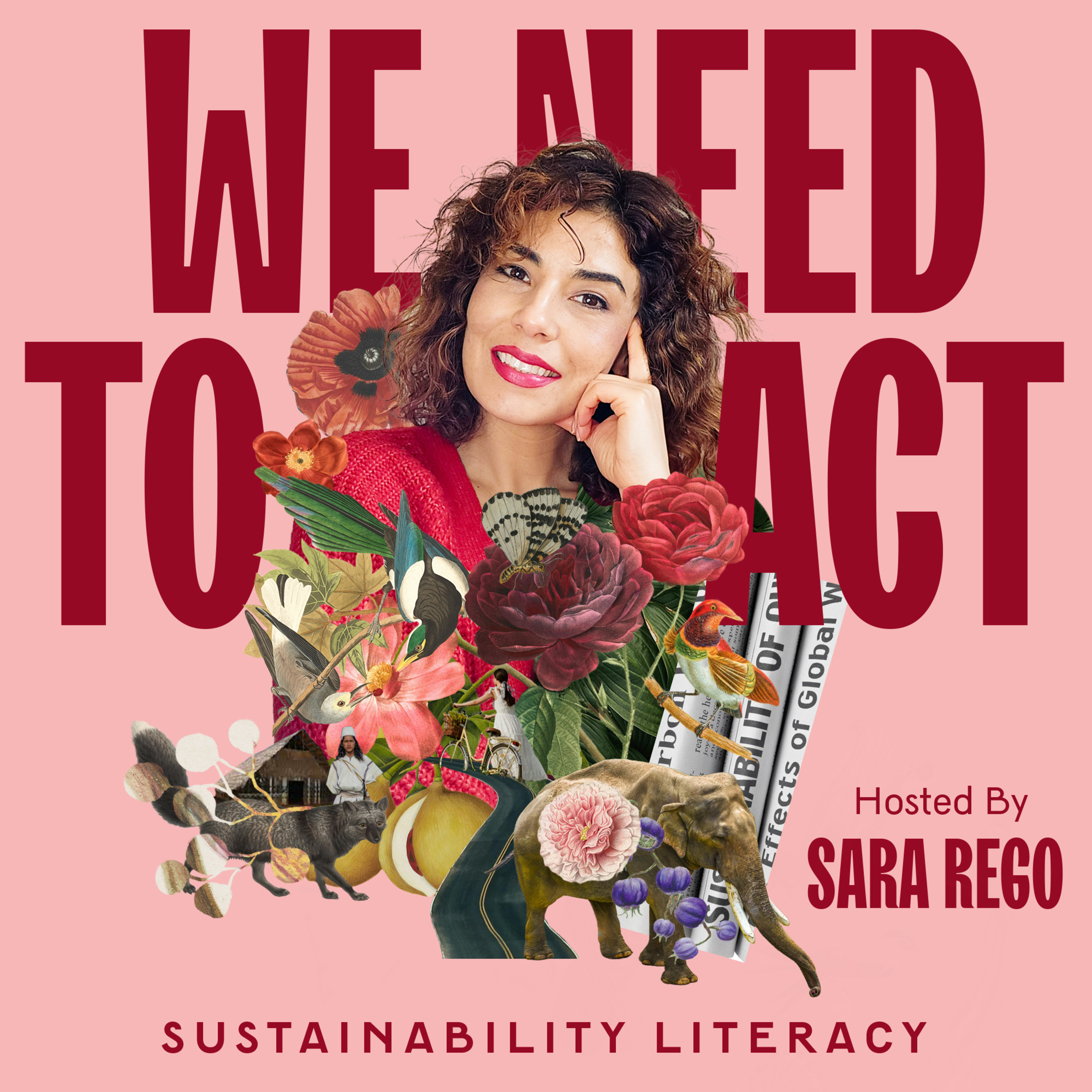Season 1 | Ep. 1 - The difference between Sustainability and Sustainable Development  episode artwork