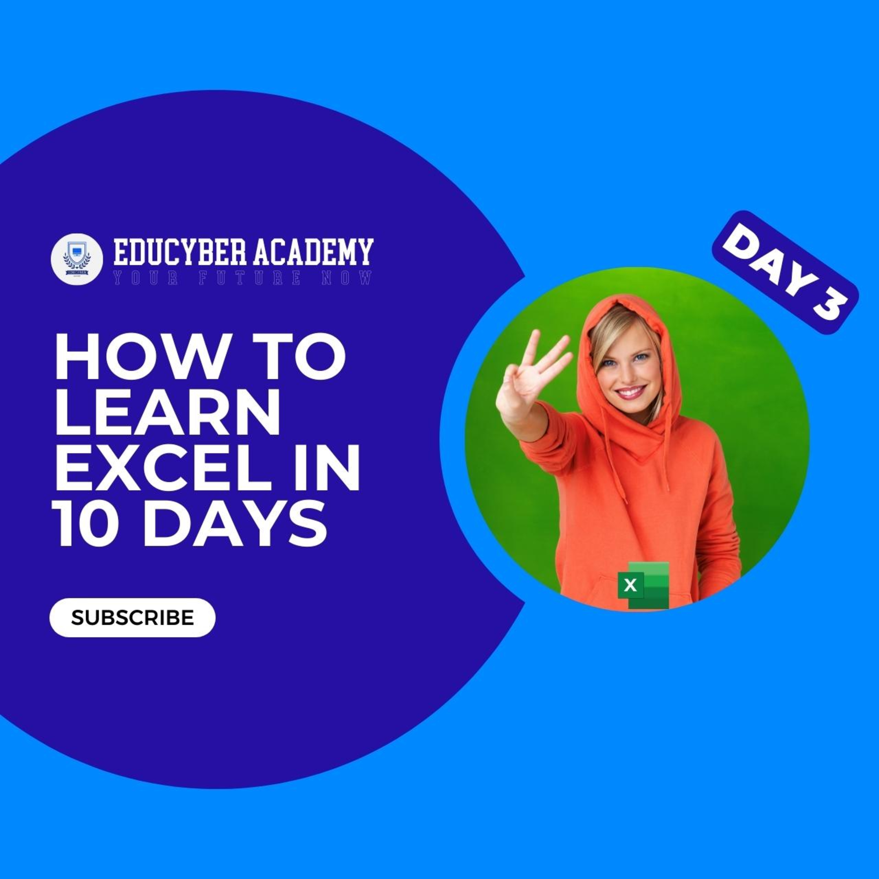 How to learn excel in 10 days Series: Day 3 - Mastering Workbooks and Efficient Data Entry episode artwork