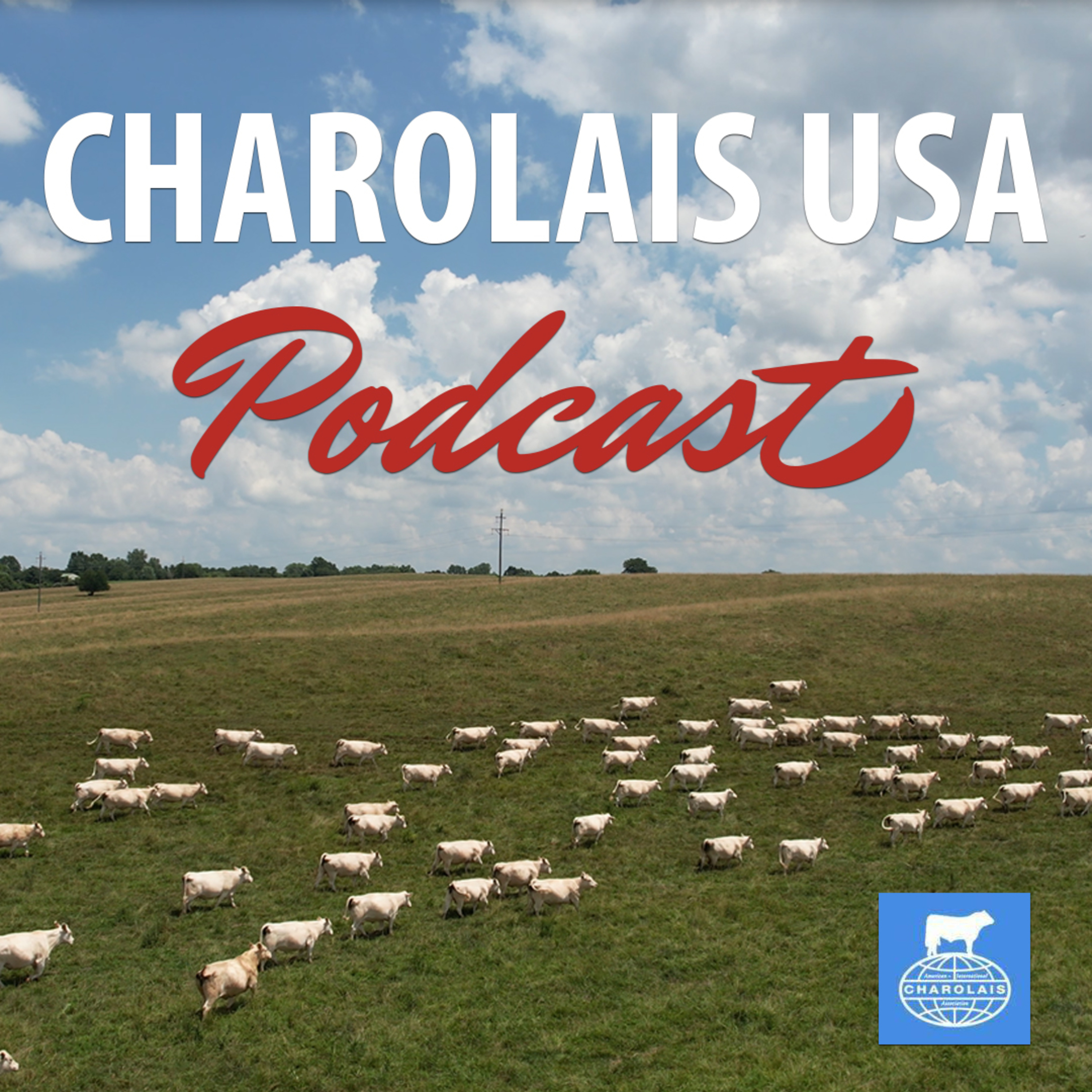 Charolais USA - Kaitlyn Chism & Clint Rusk episode artwork