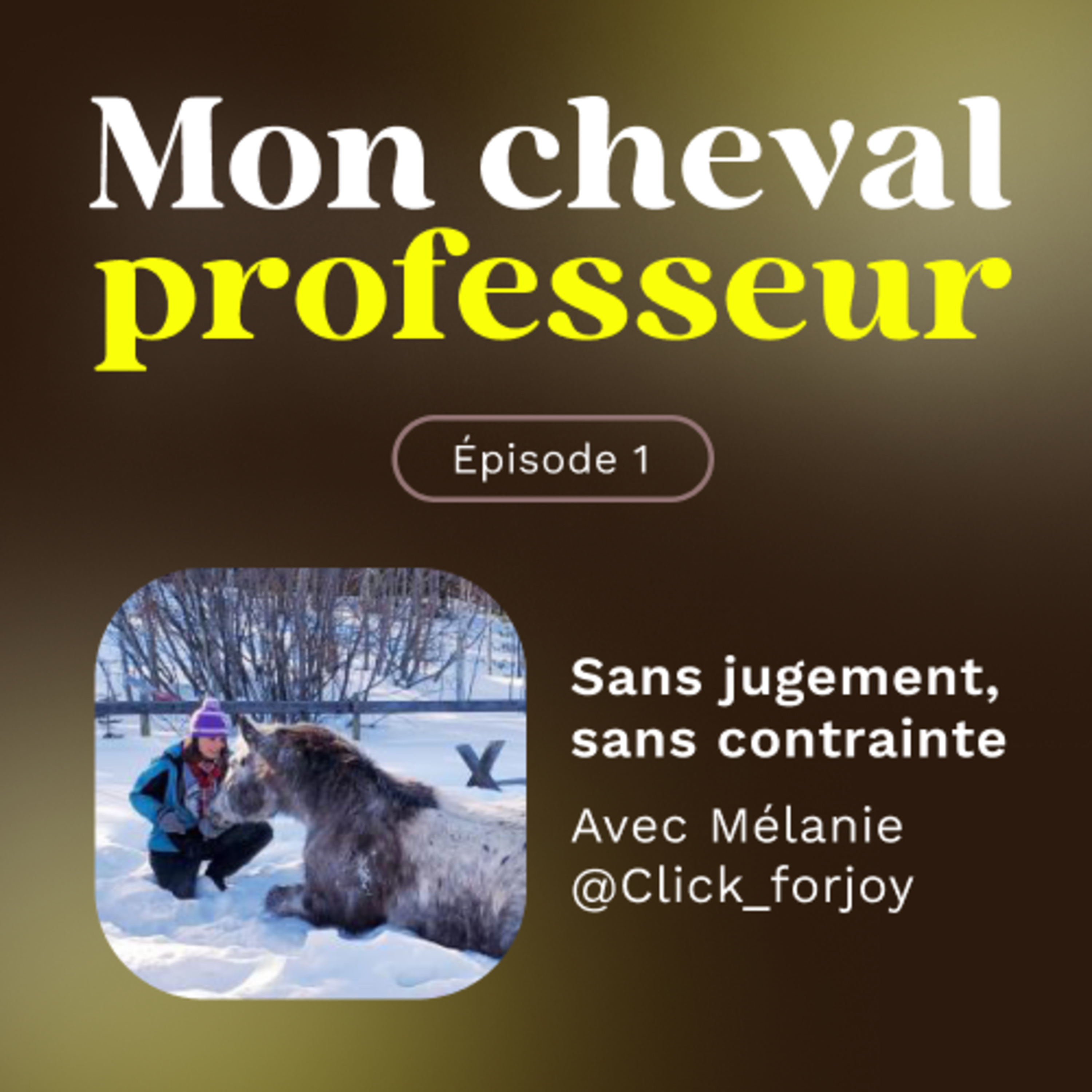 Mon Cheval Professeur
