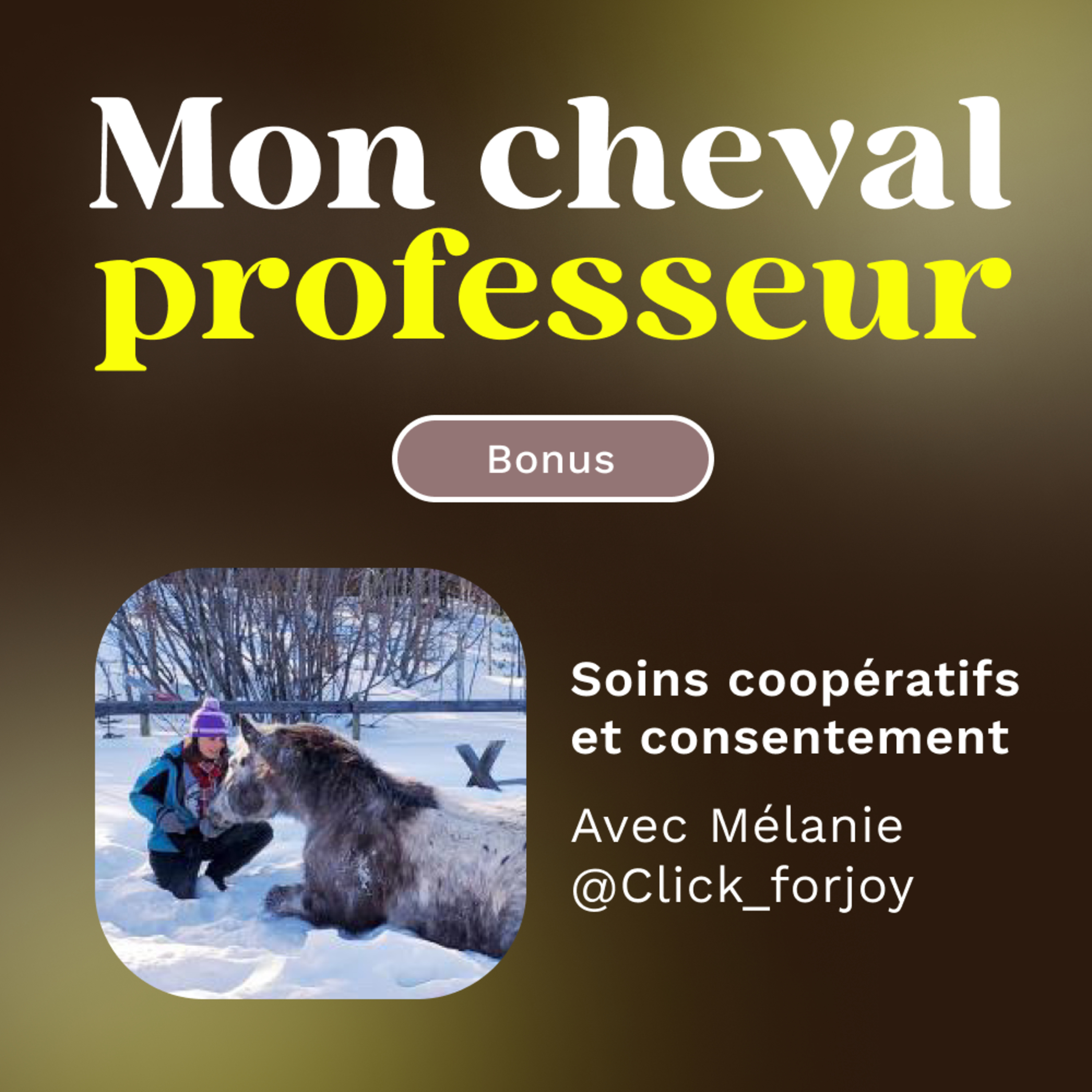 Mon Cheval Professeur