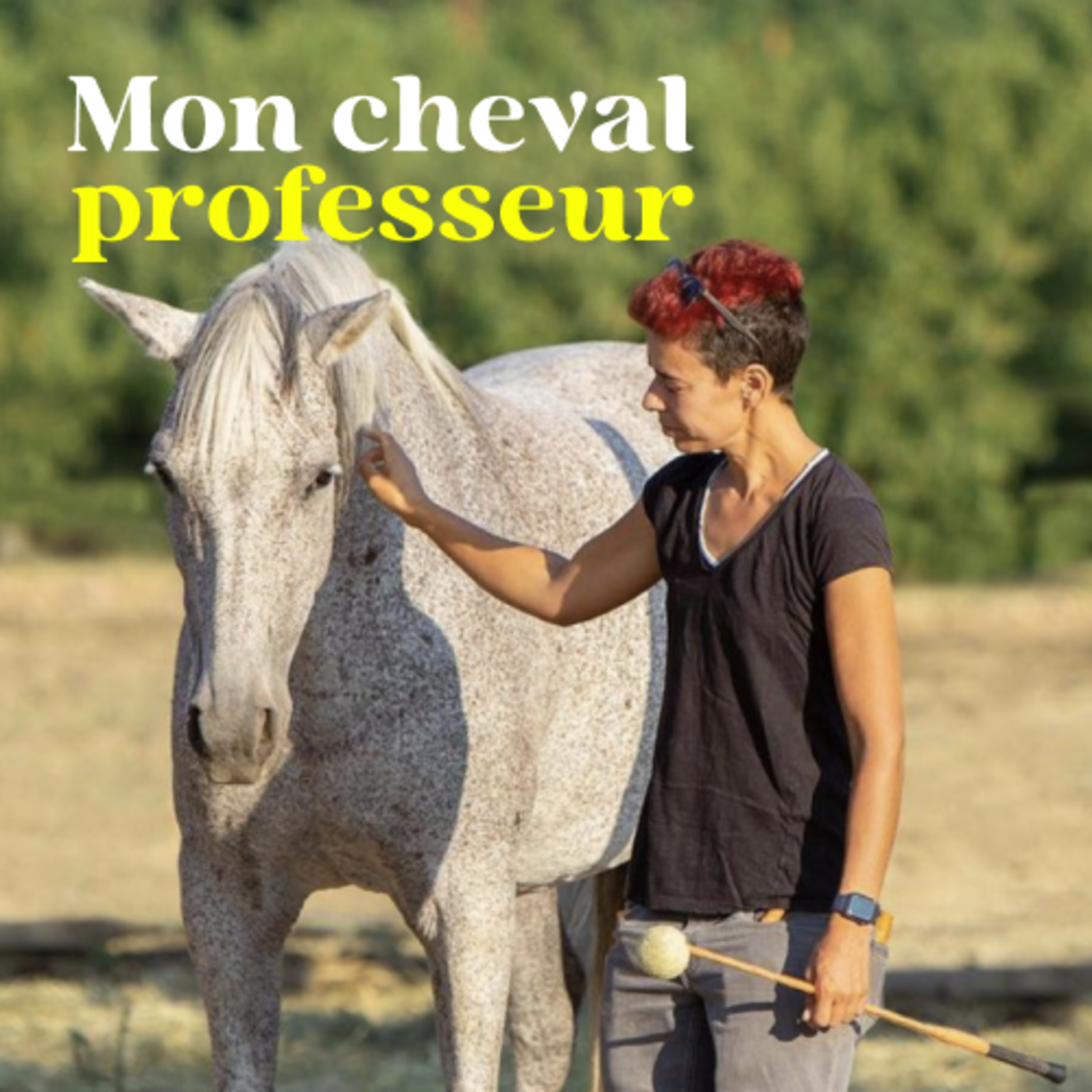 Mon Cheval Professeur