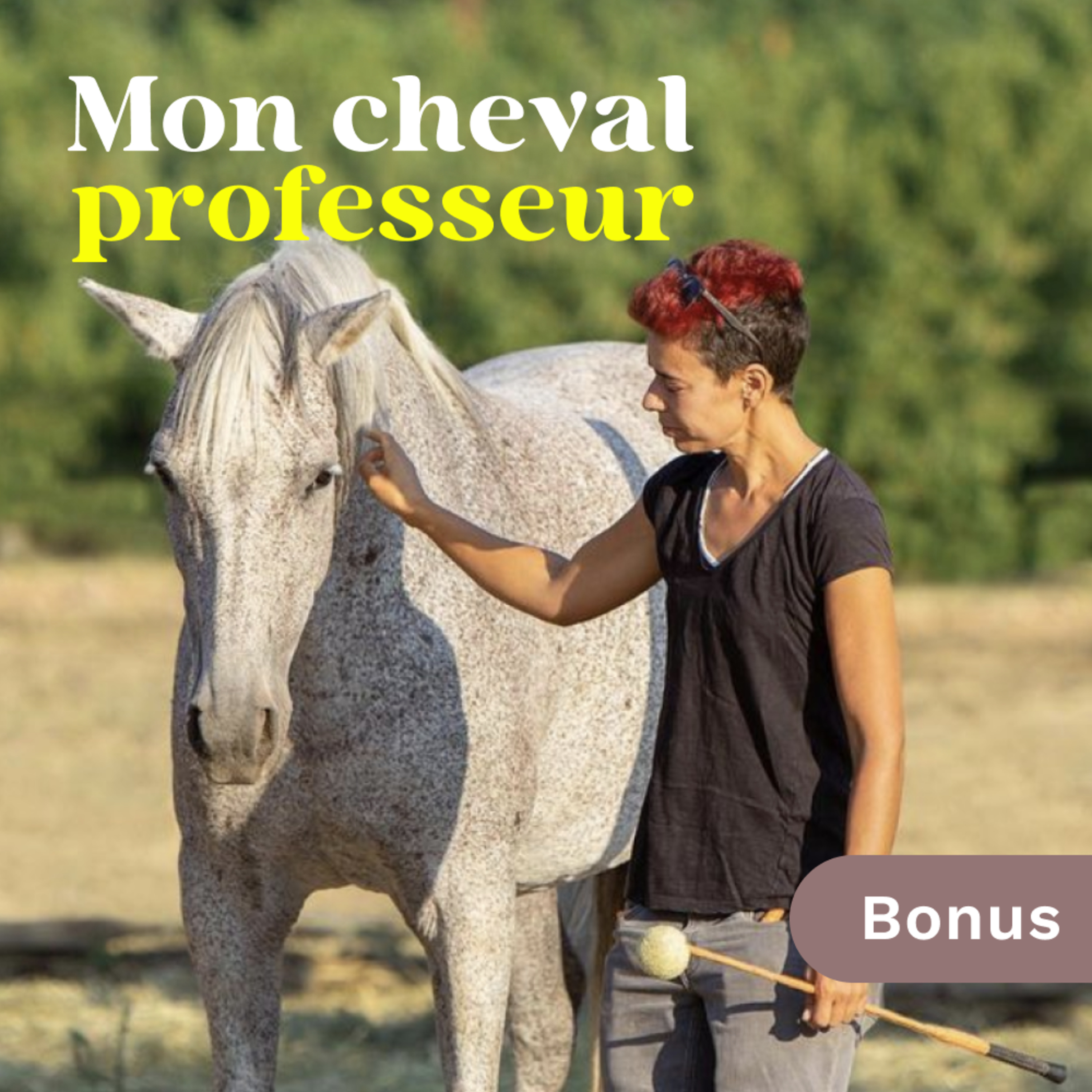 Mon Cheval Professeur